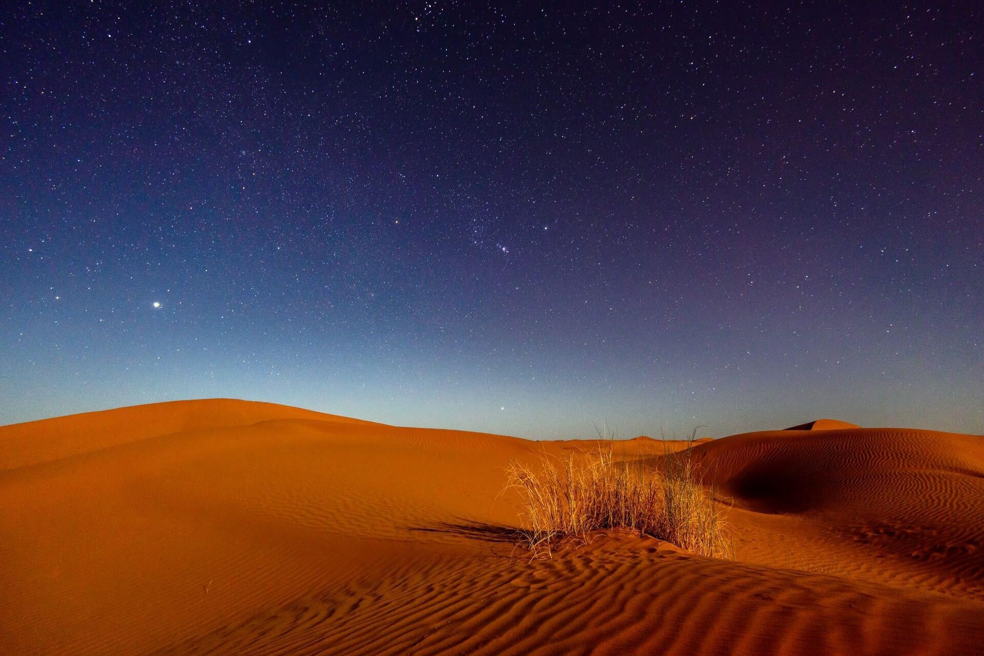 Sand dunes in a desert landscape under a night sky filled with stars and sparse desert vegetation.