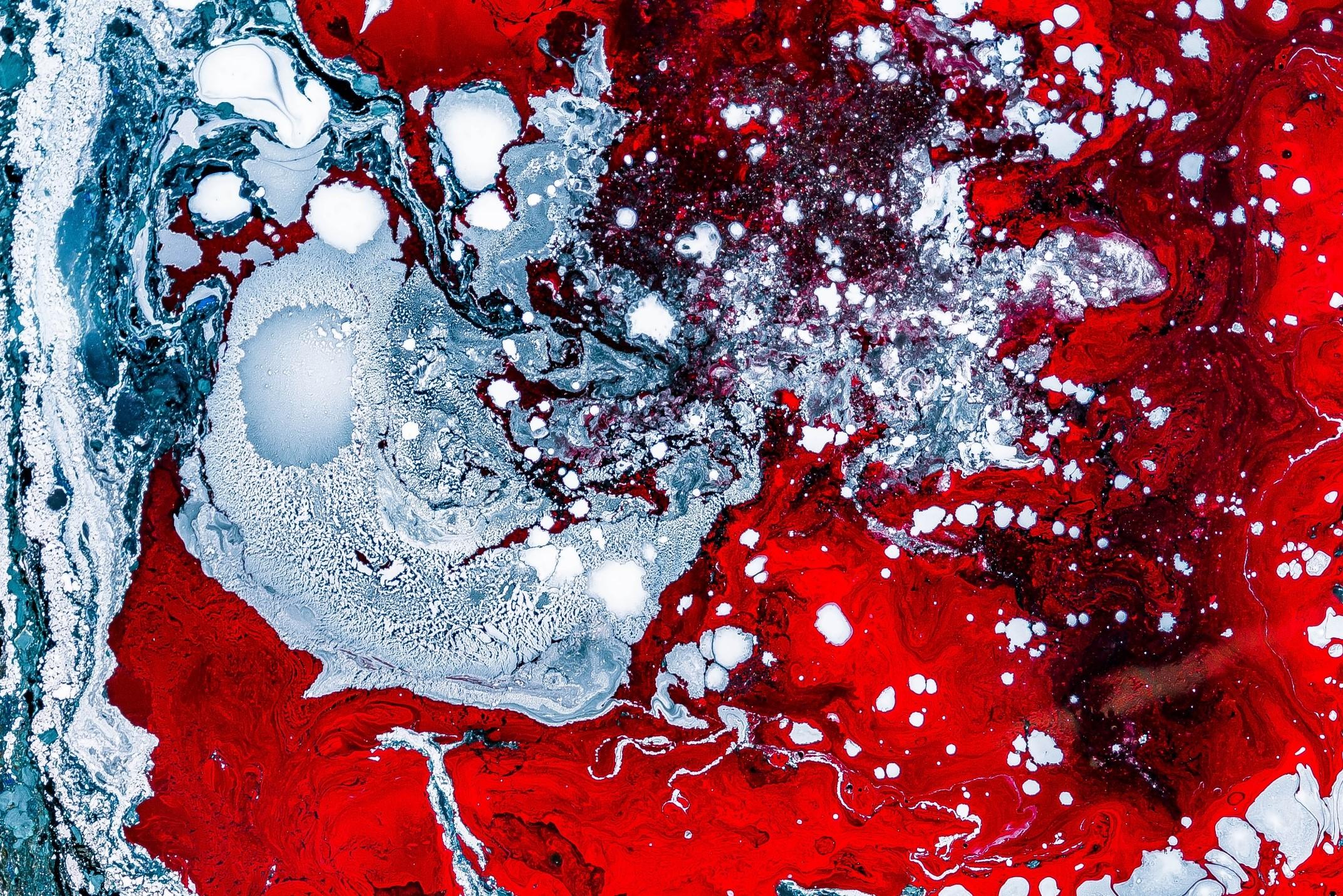The world of organisms smaller than the human eye can detect