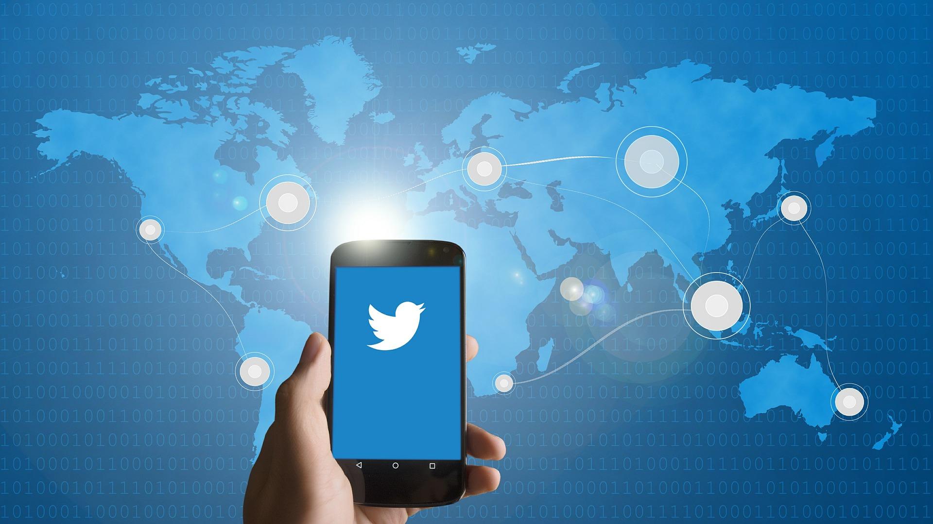 Which accounts should you follow?