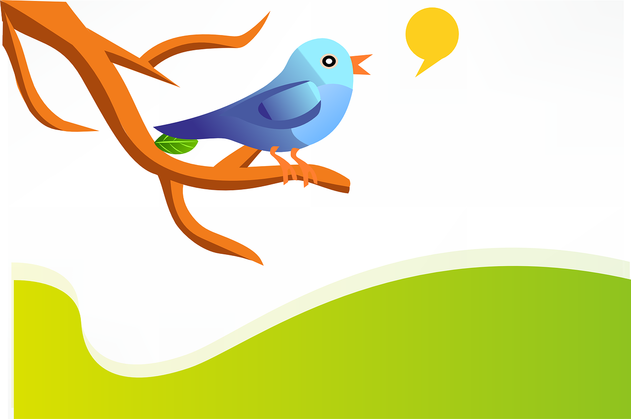 How do you create a Twitter profile?