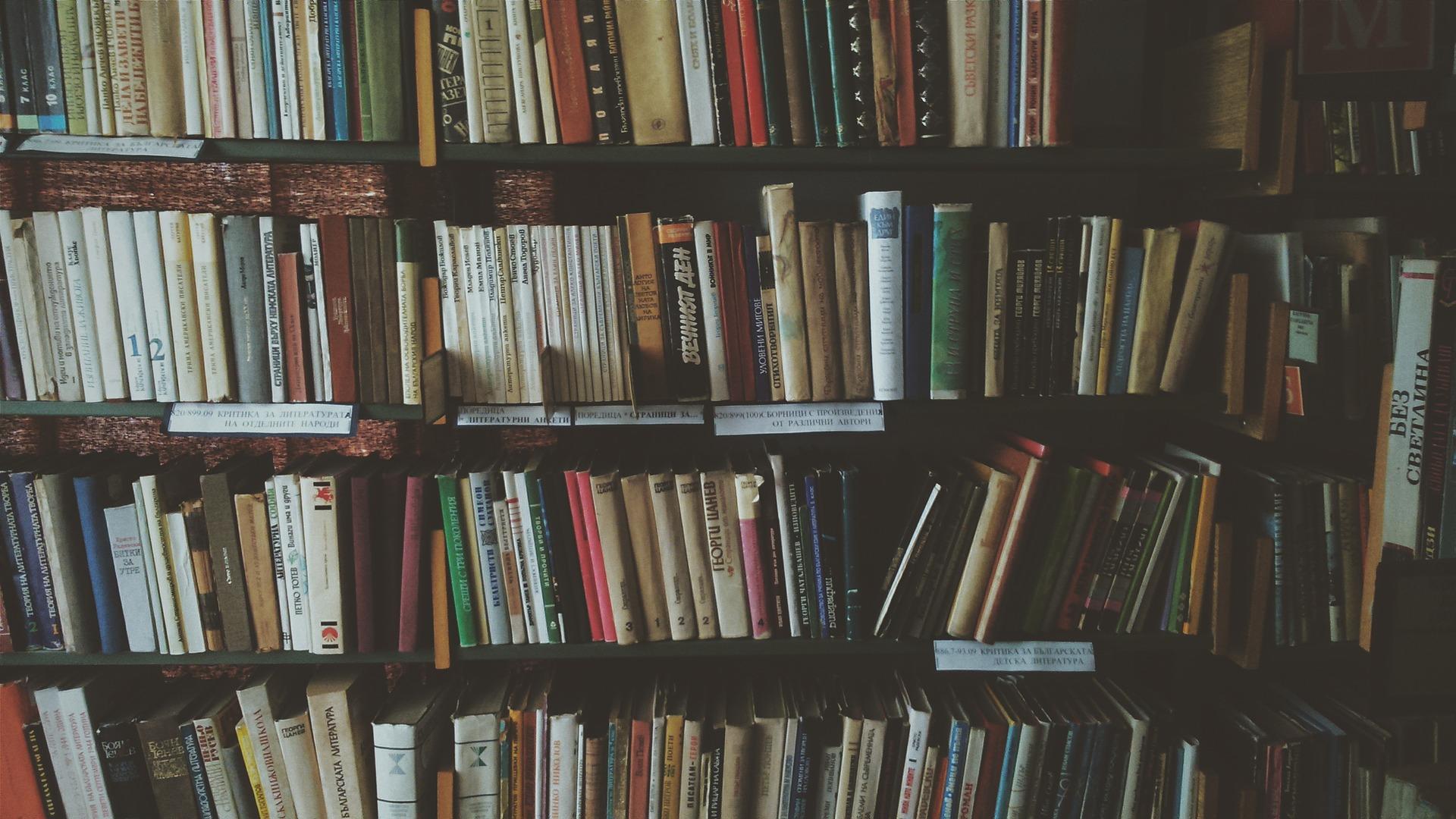 How can you learn Spanish in a Spanish university?