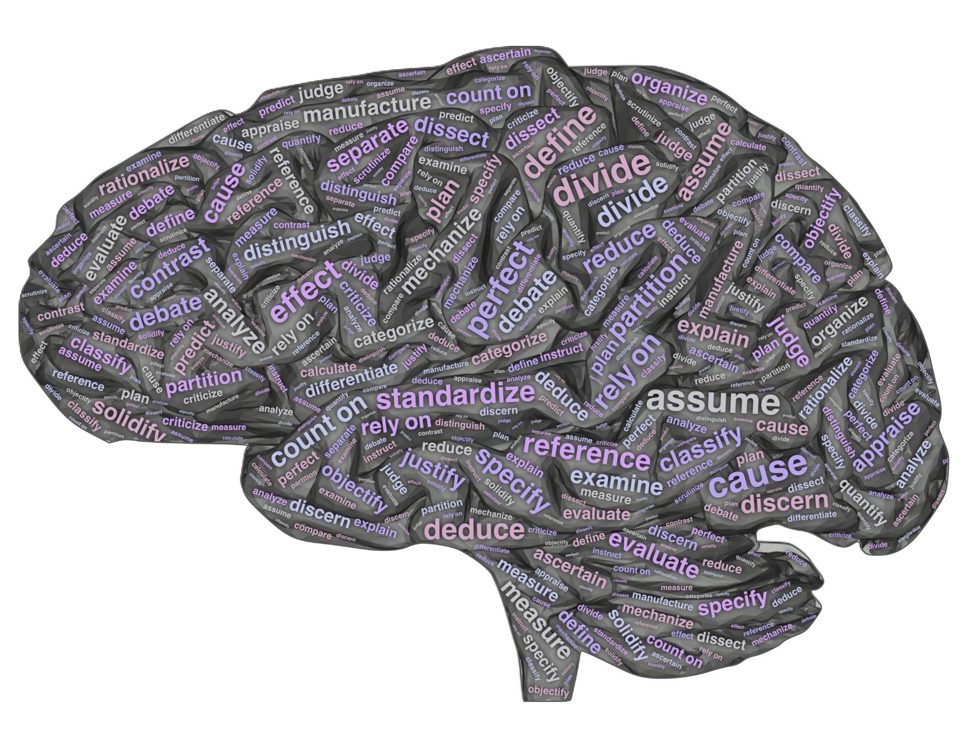 Brains work differently, so does differentiated learning