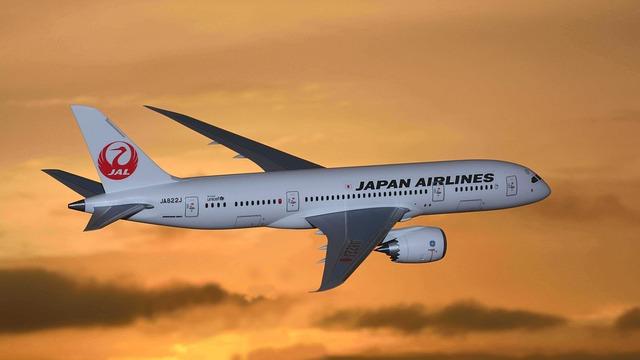 taking a flight to Japan