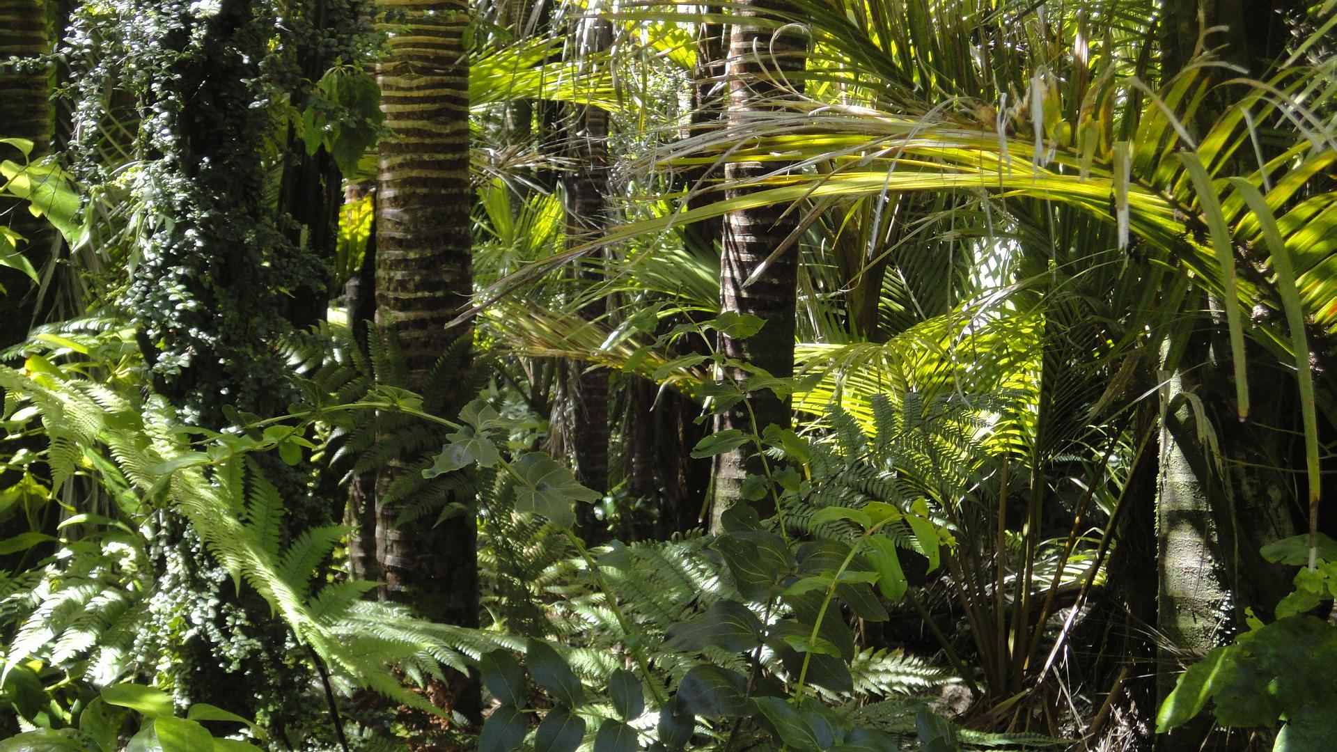 Where should you stay in Brazil?