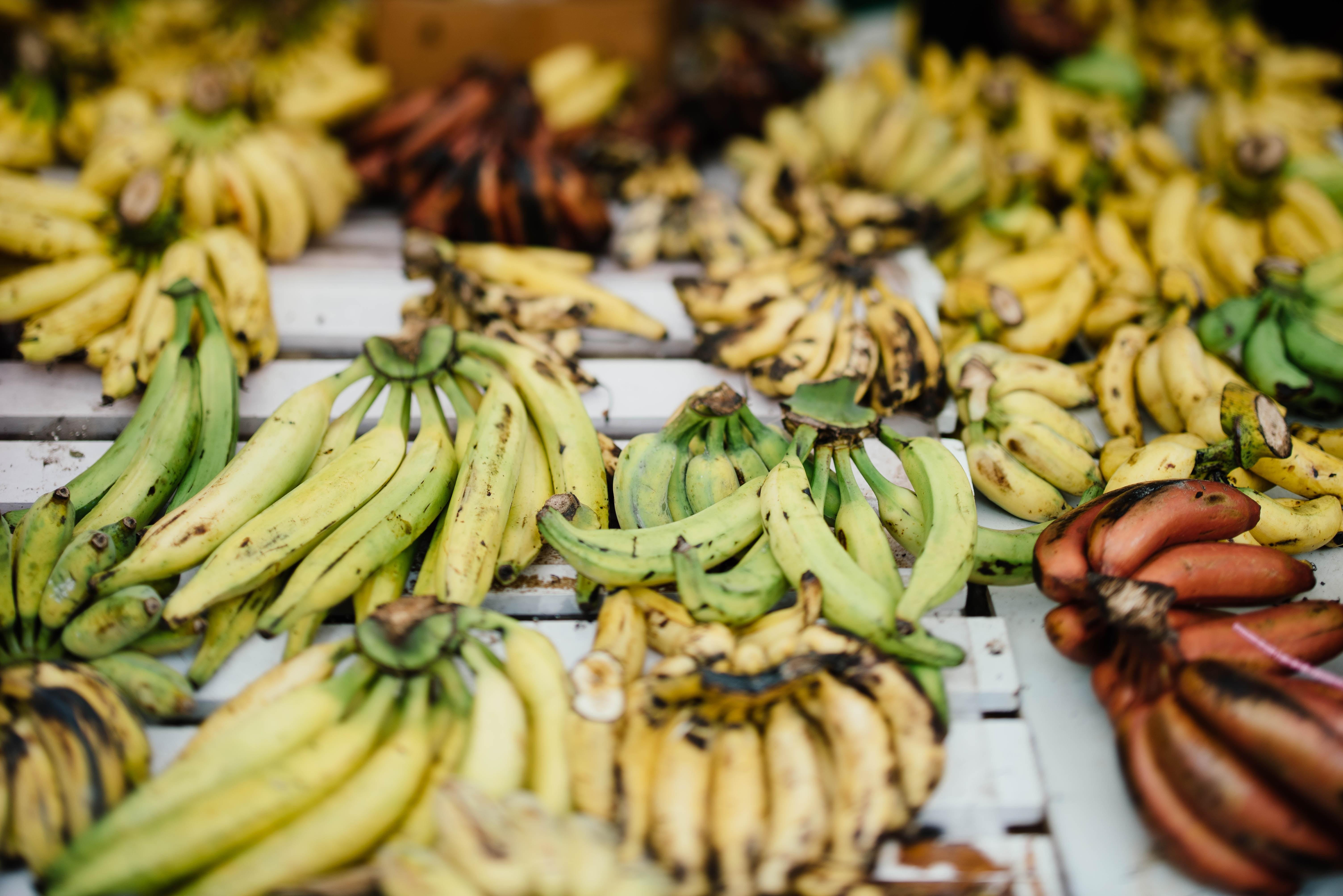 South Americans and plantains
