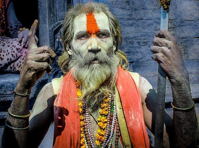 Hindu holy people