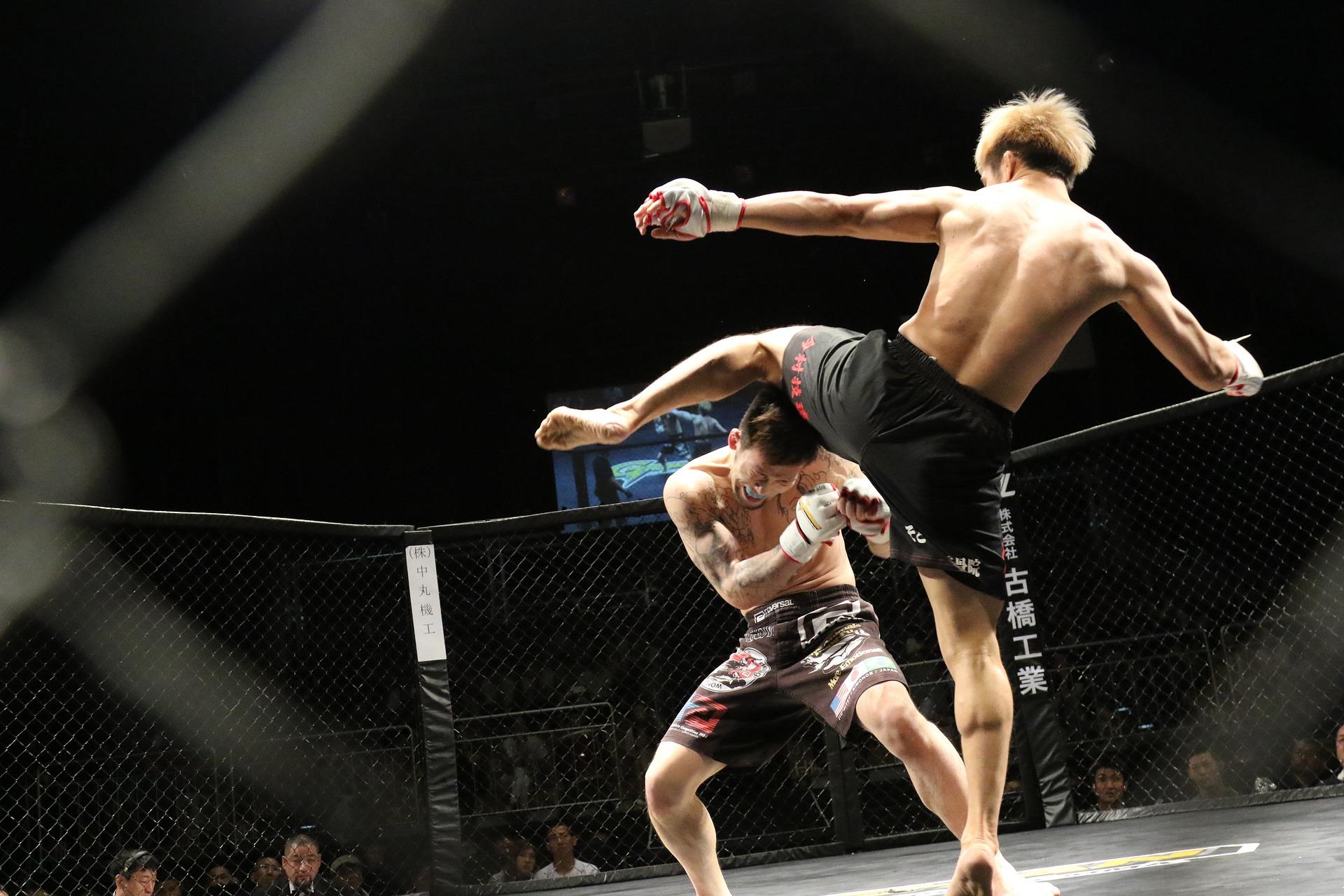 MMA permits kicks as well as fists and clinching