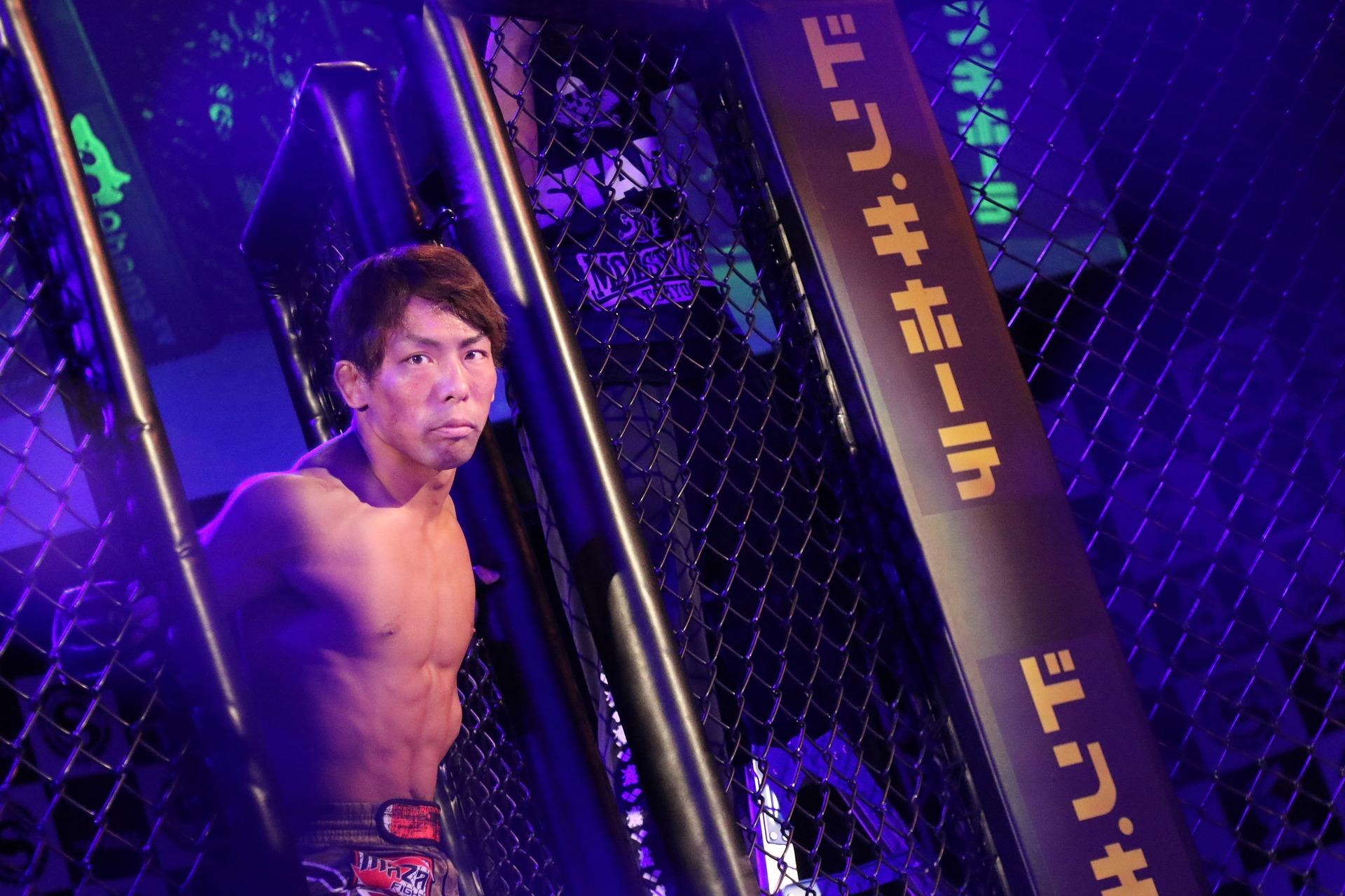 MMA has its roots in Asia