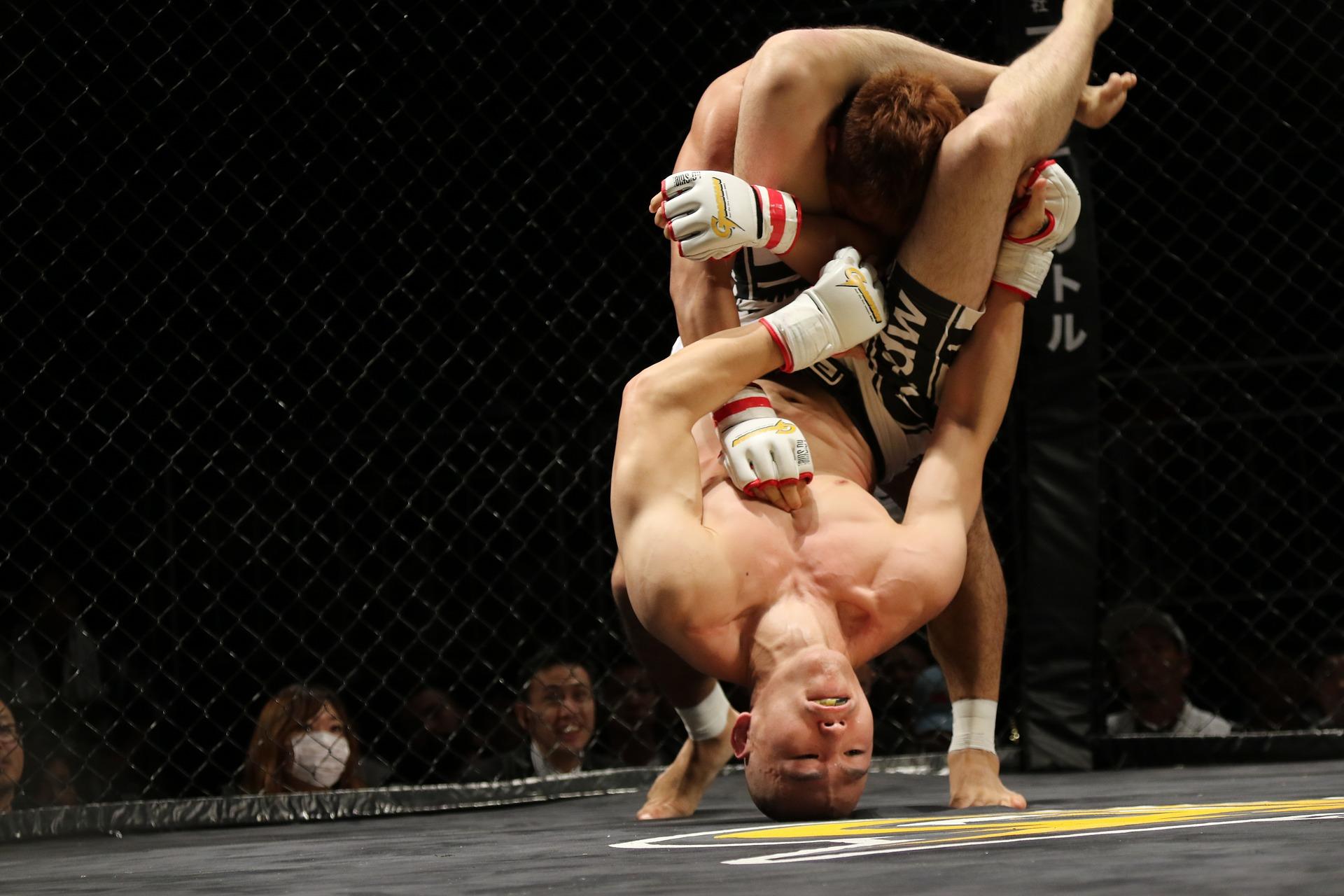 some fighters baulk at the challenge of mma