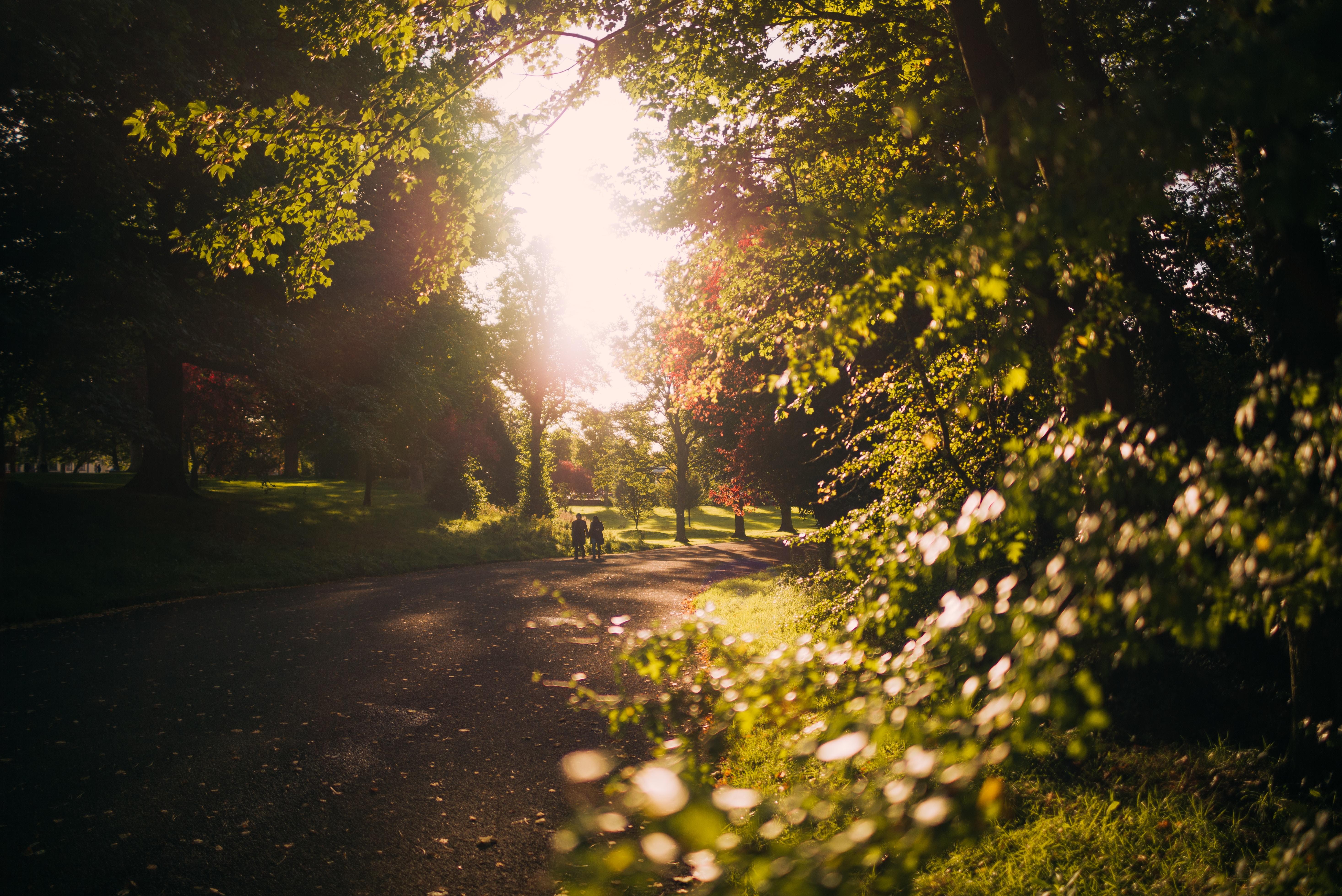 the botanic garden in Belfast