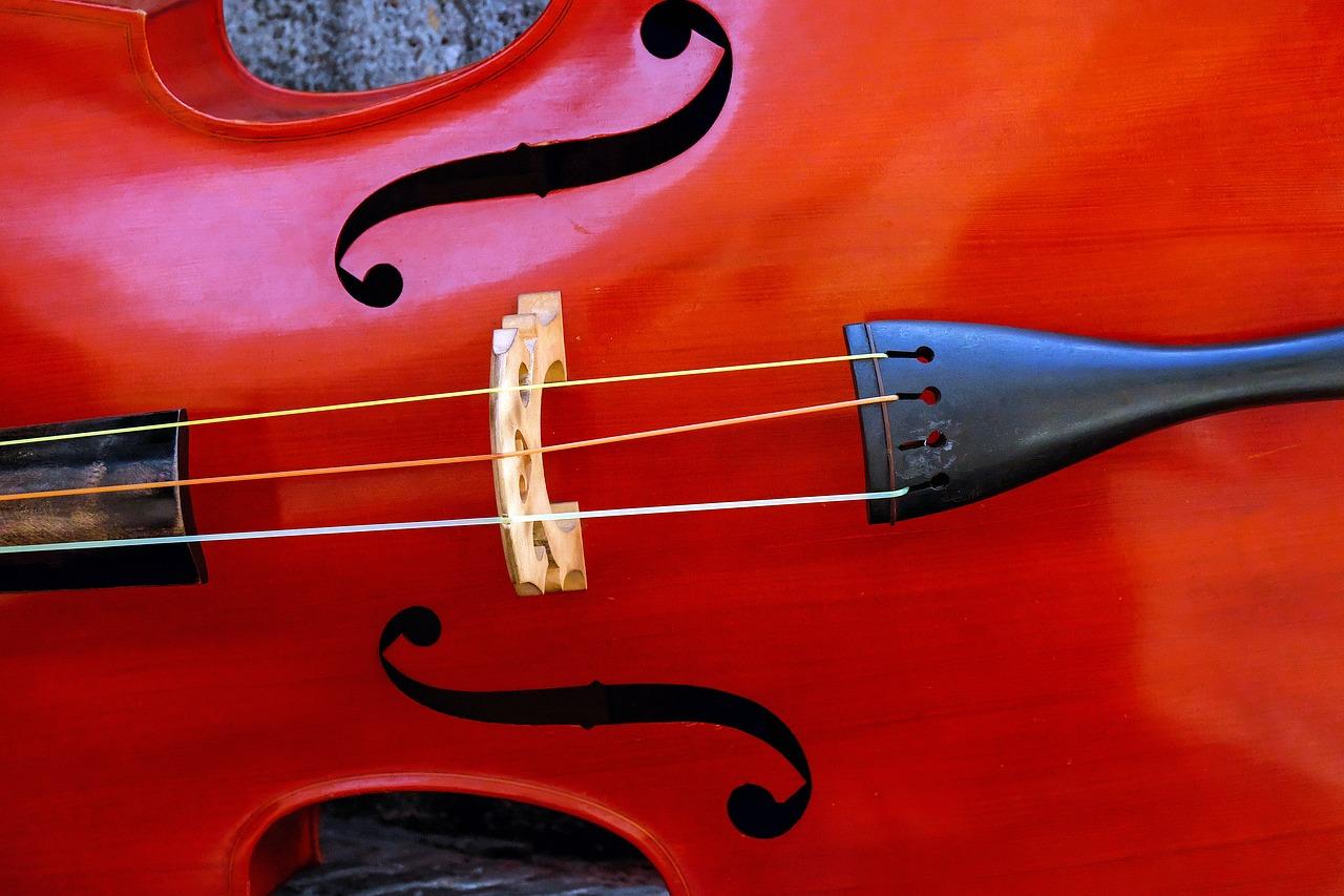 A close-up of the body of a violin