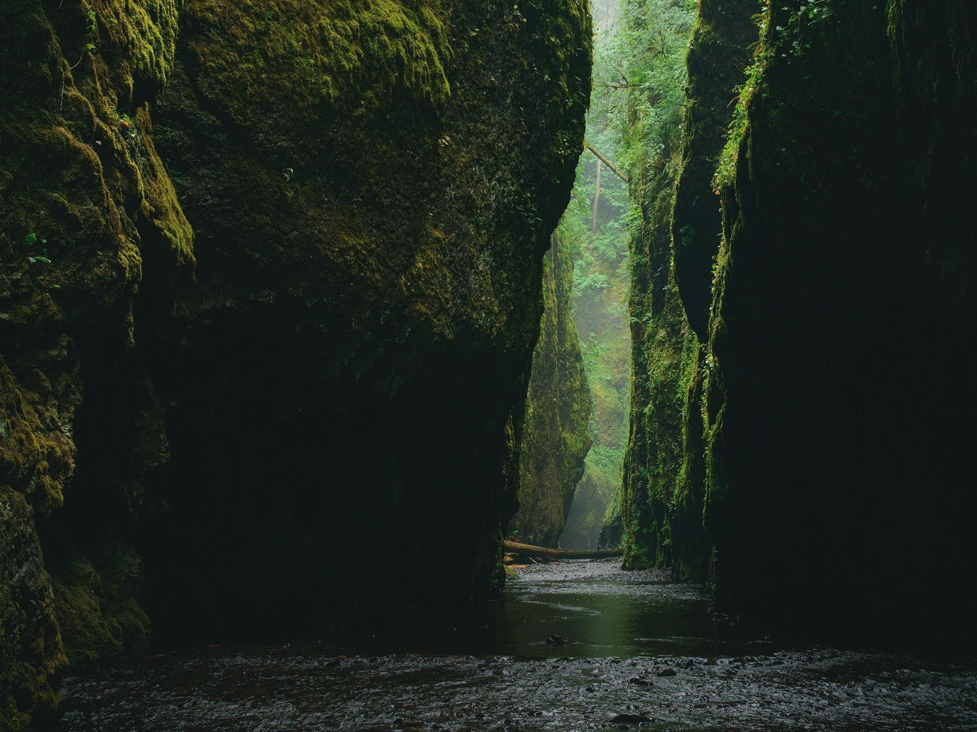 a canyon in the amazon