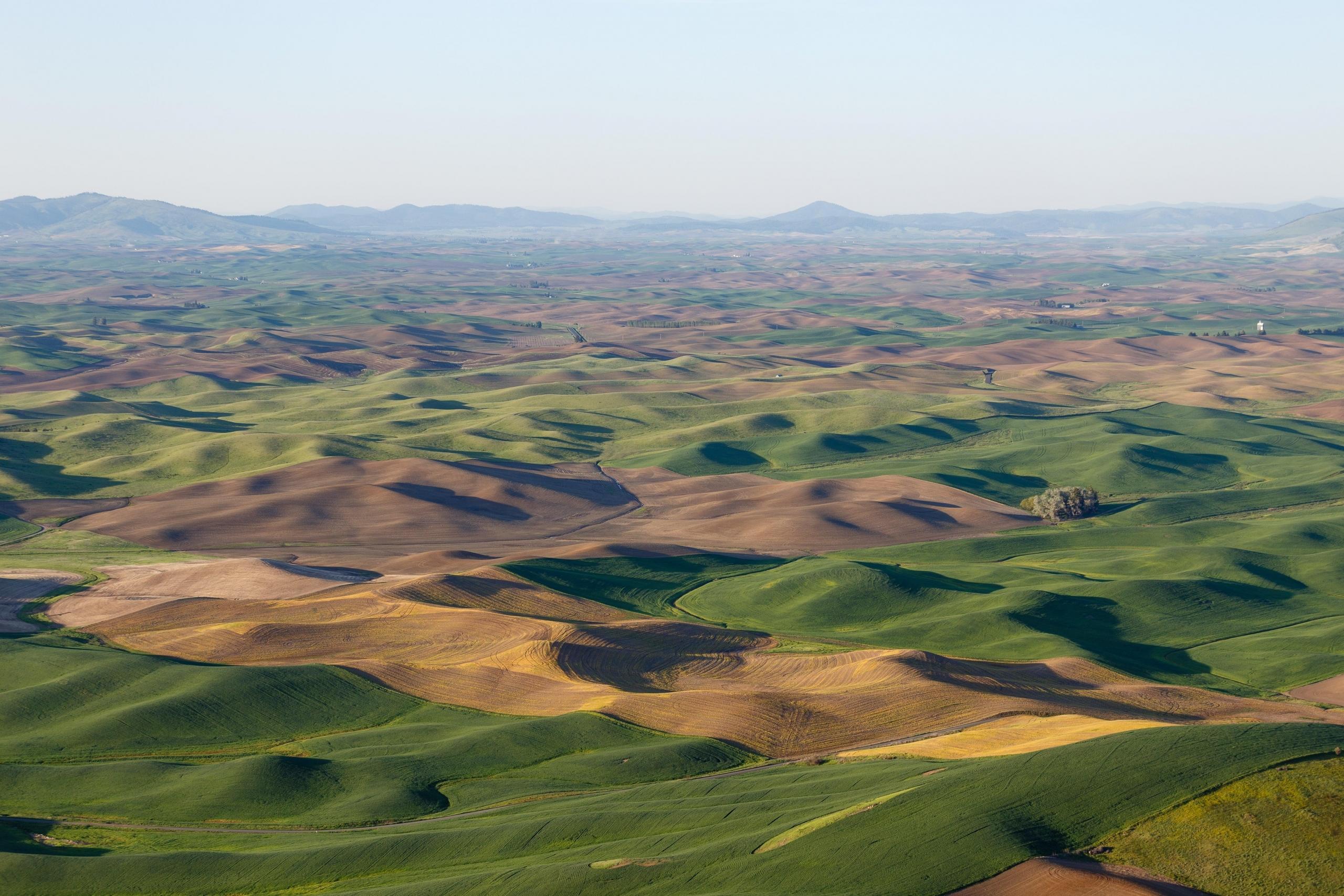 The hills of the Palouse from above