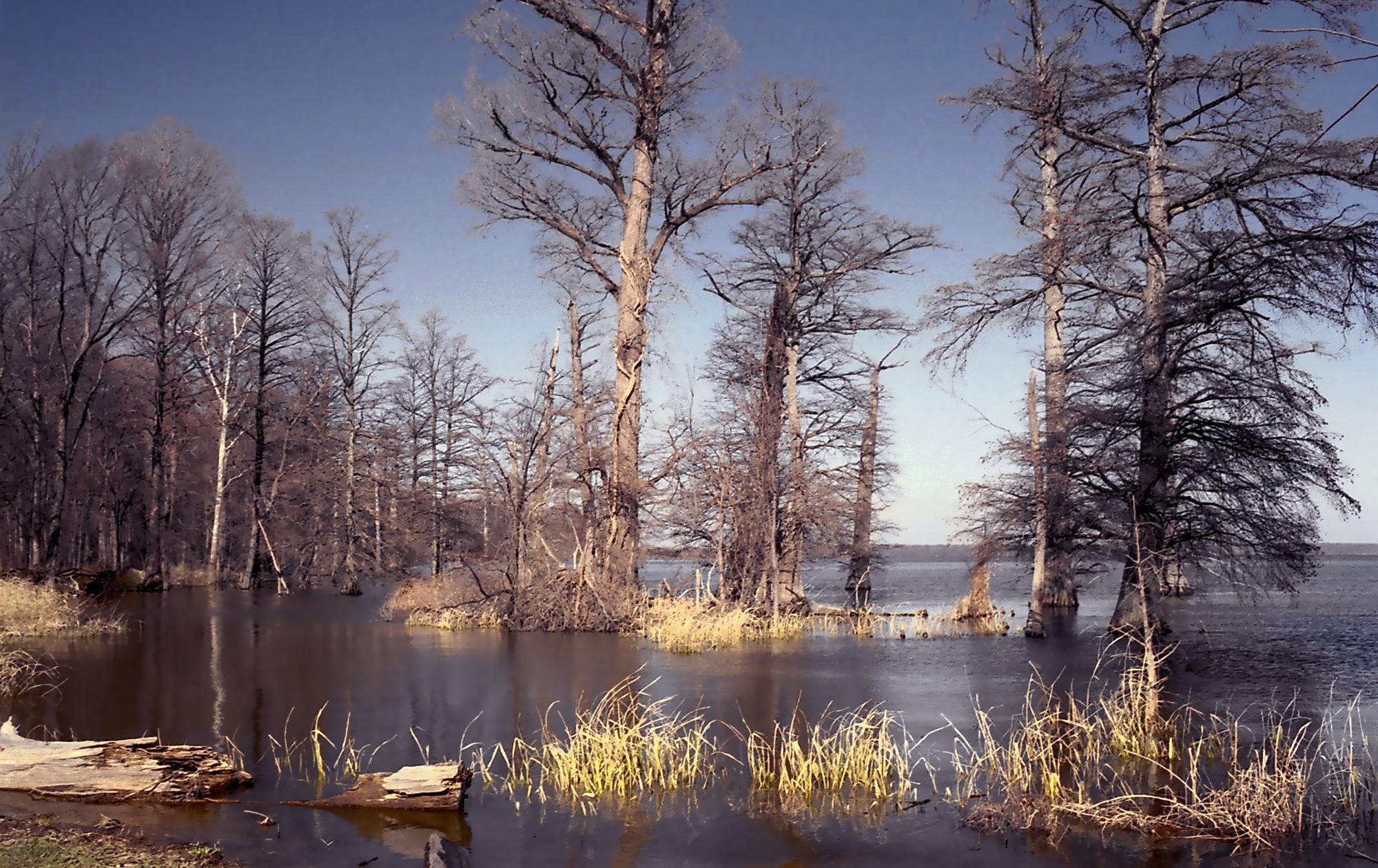 Reelfoot Lake is a photographer's treat
