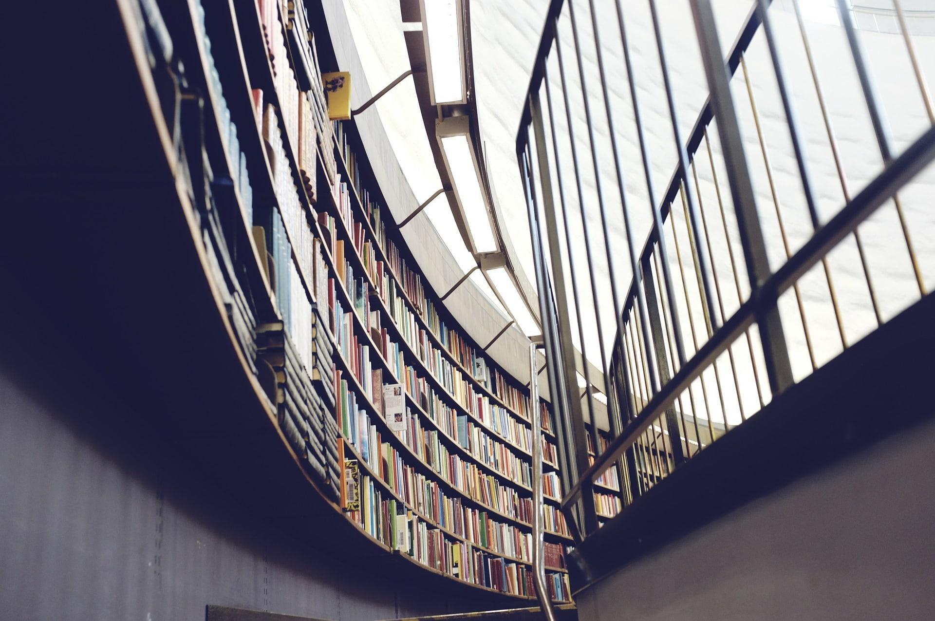 What postgraduate degree can I do?