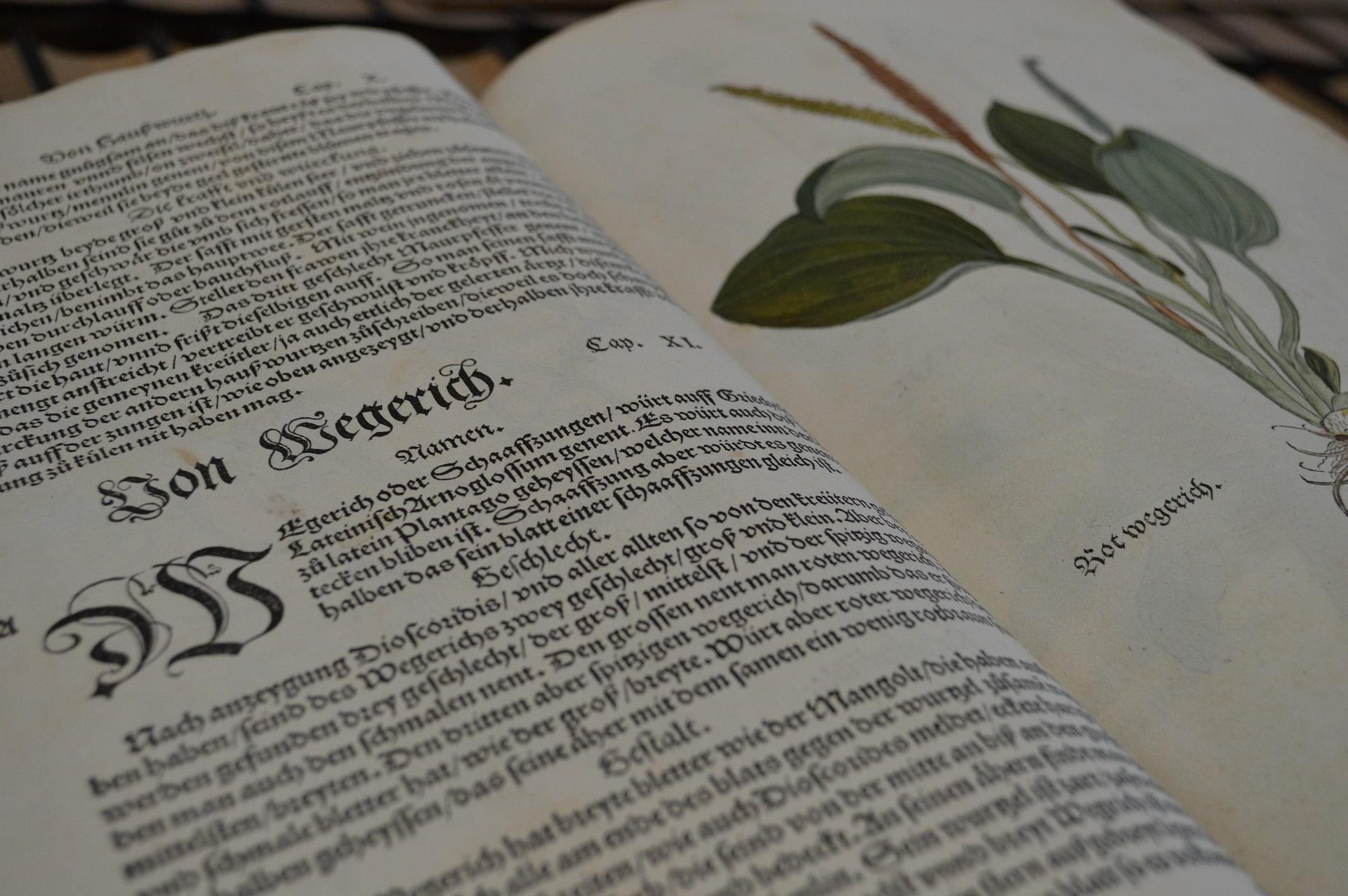 How can you teach Latin in schools?