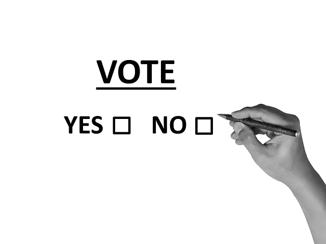 choosing yes or no