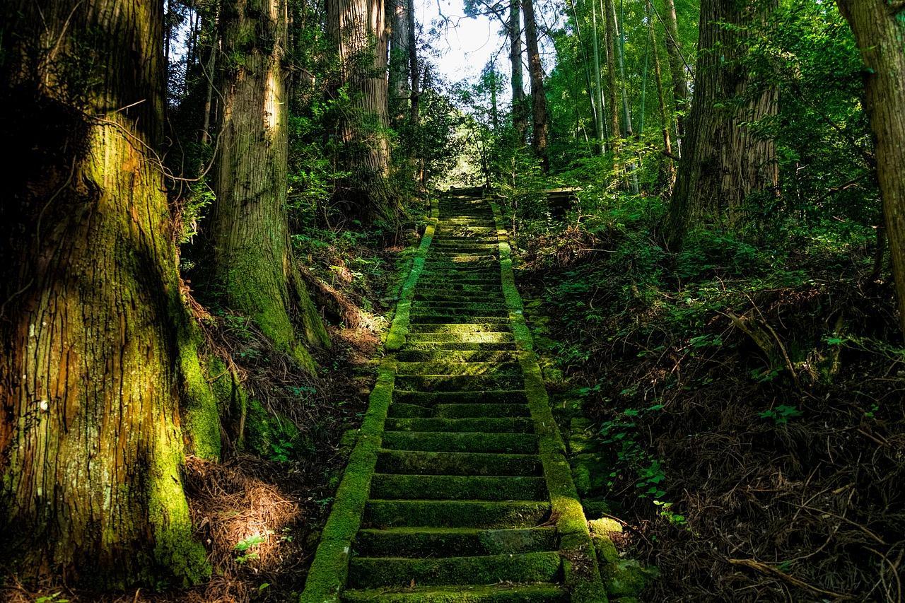 A moss-covered stairway
