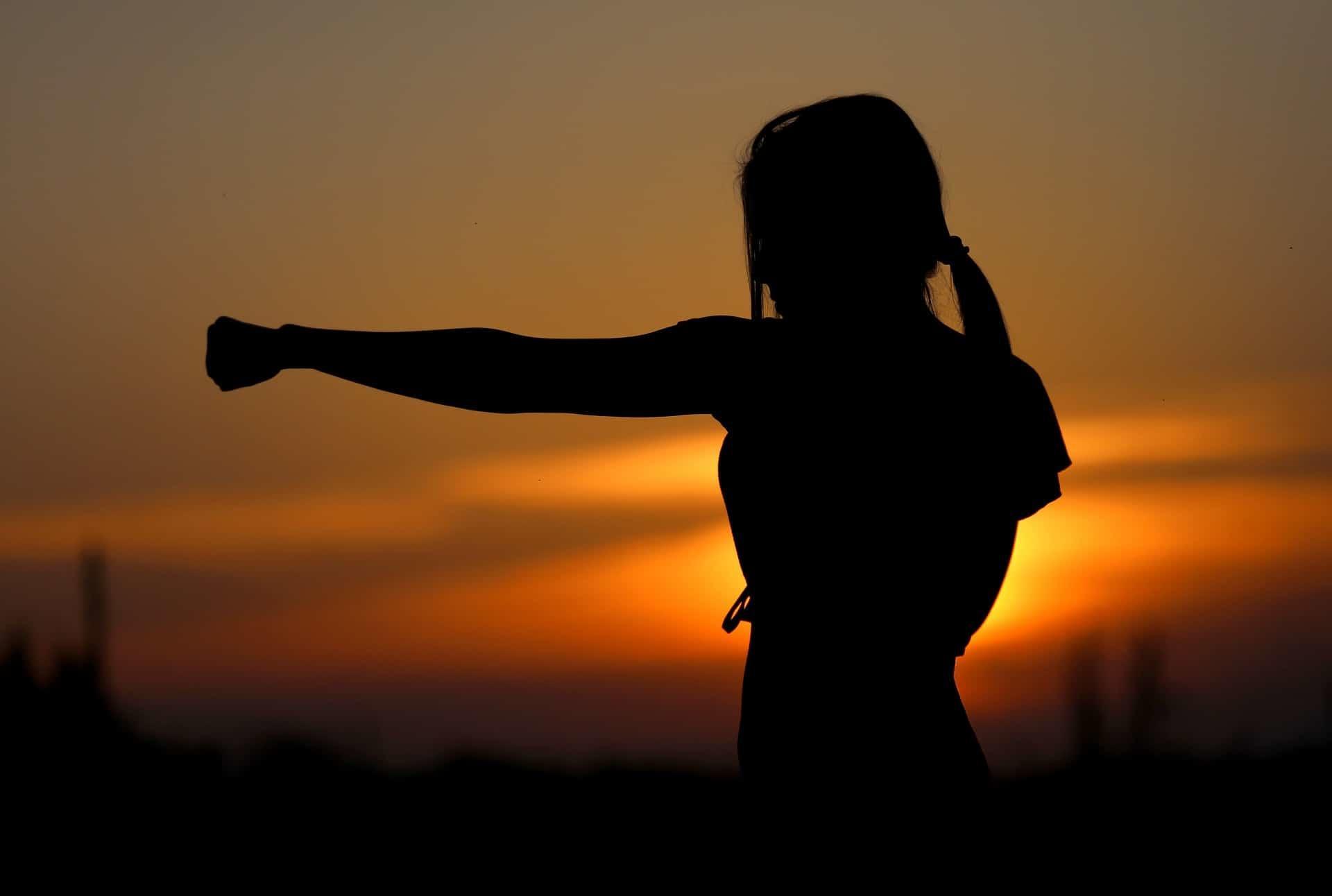 Which are the most popular martial arts in Japan?