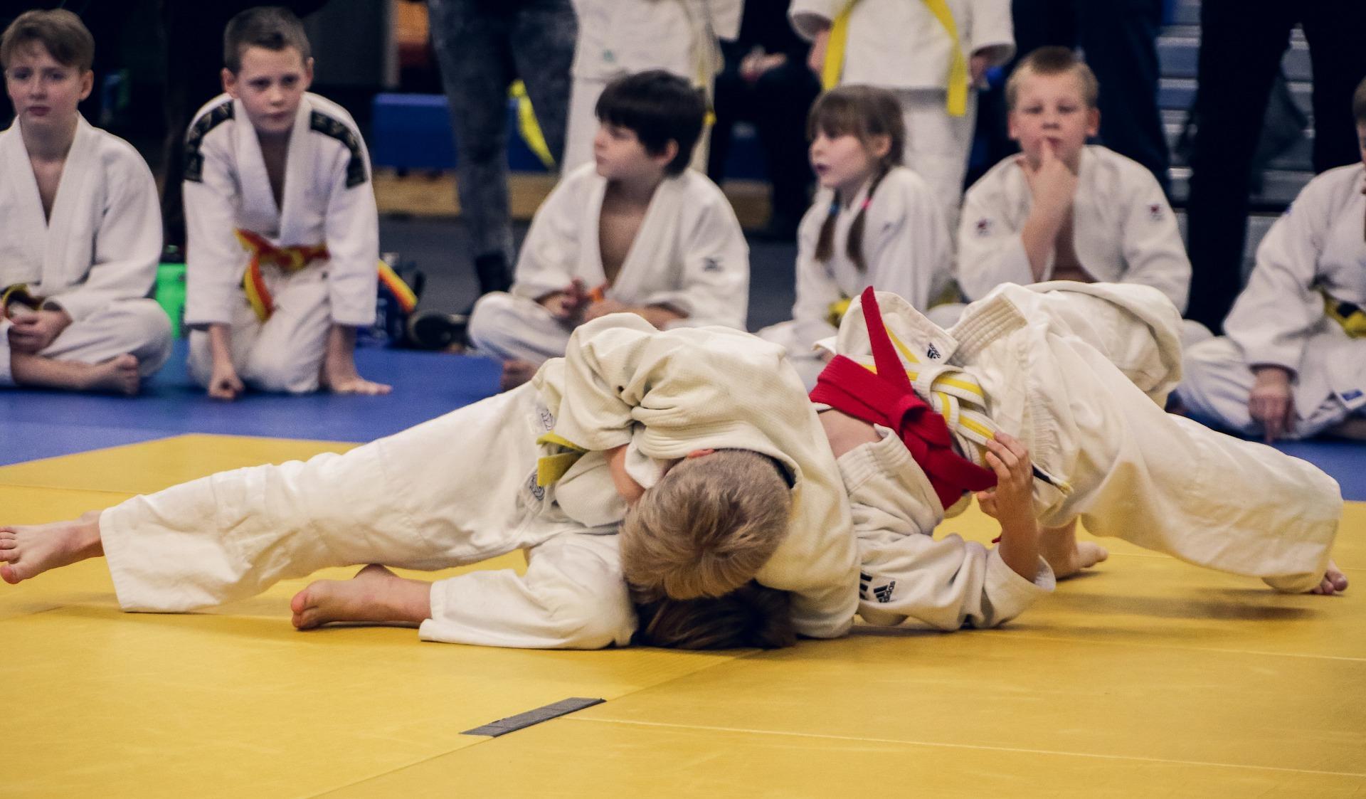 What is judo?