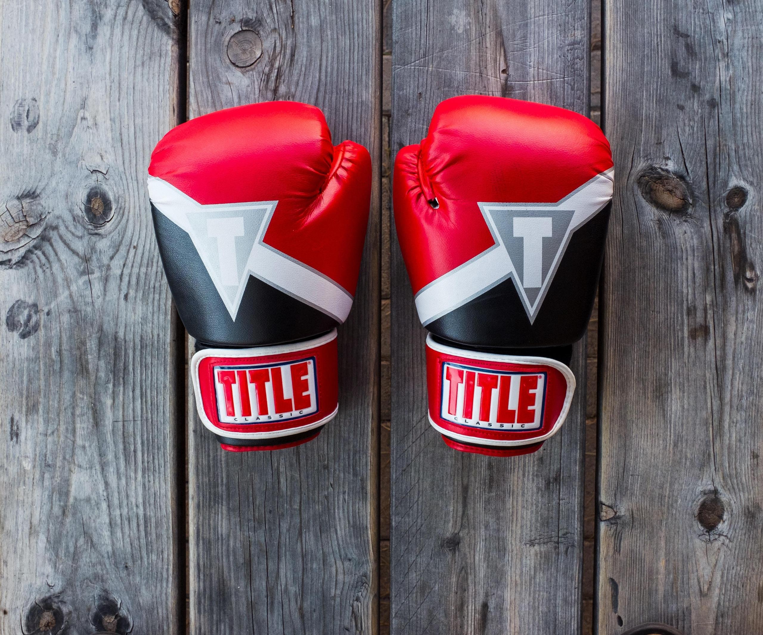 kickboxing gloves for training