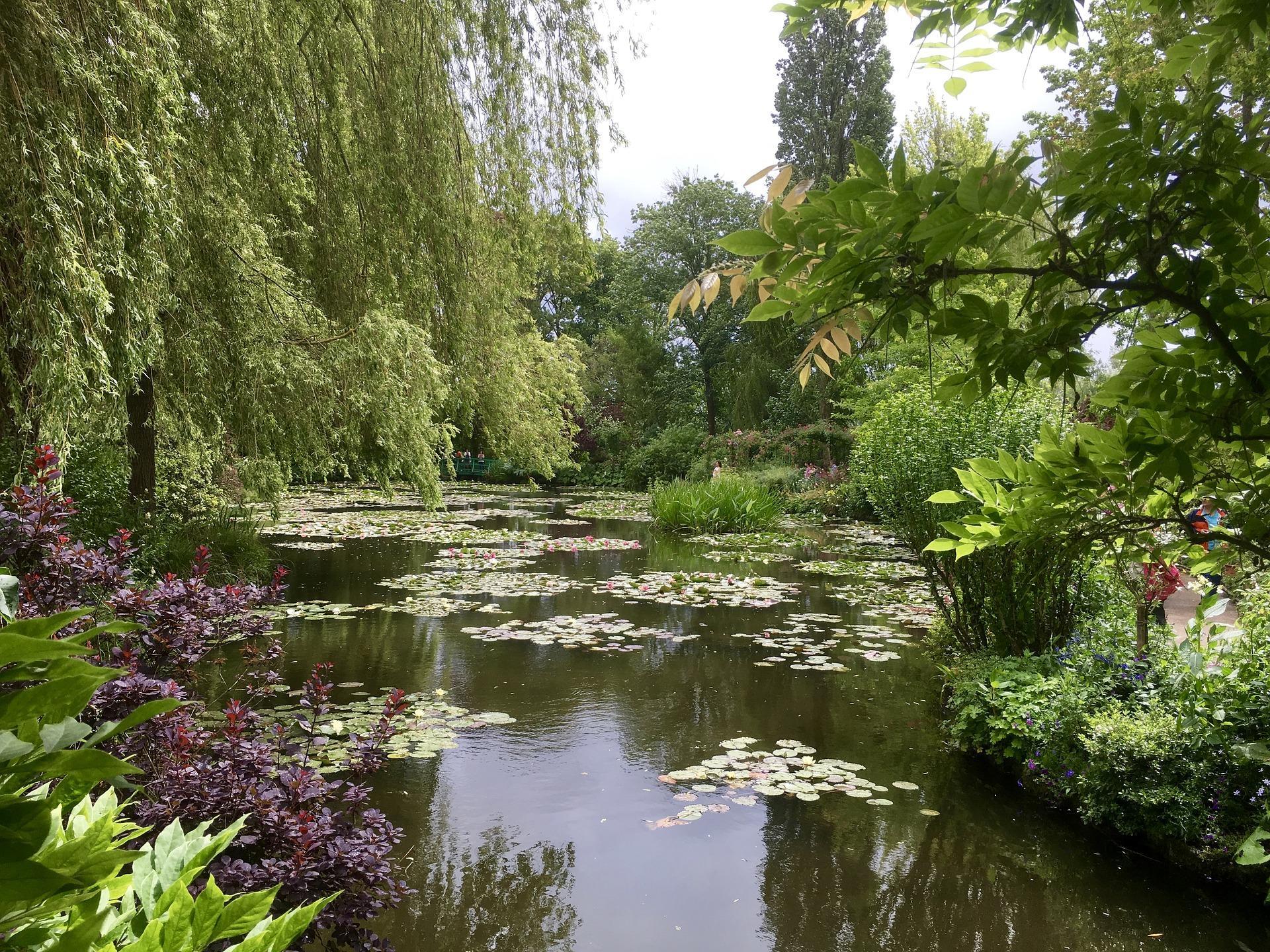 Monet loved painting in his gardens