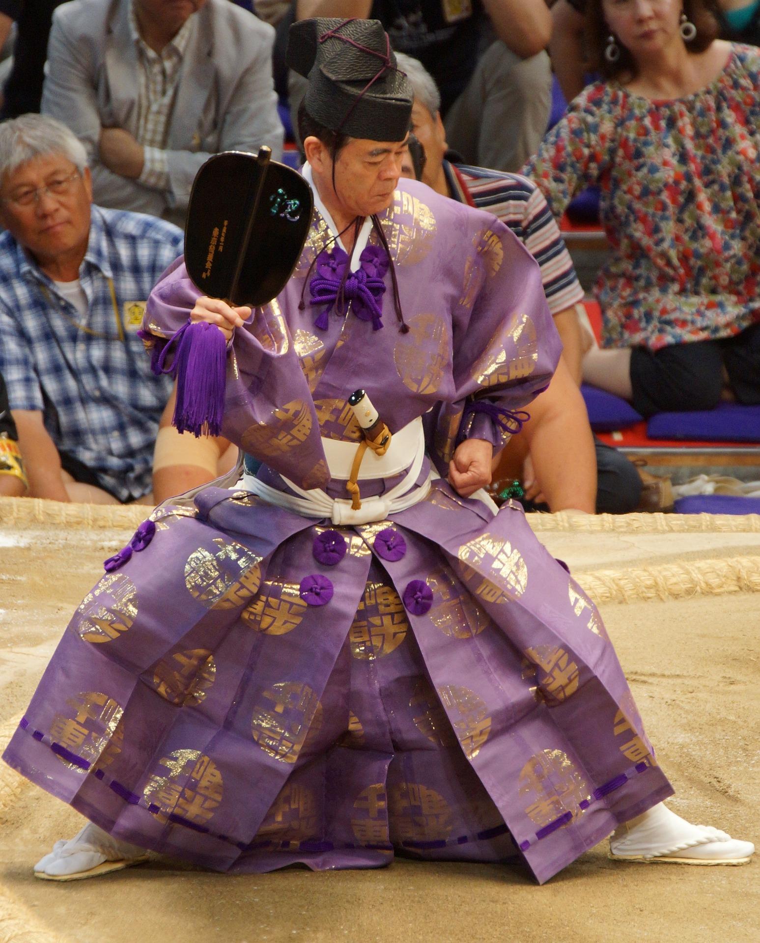 What is sumo wrestling?