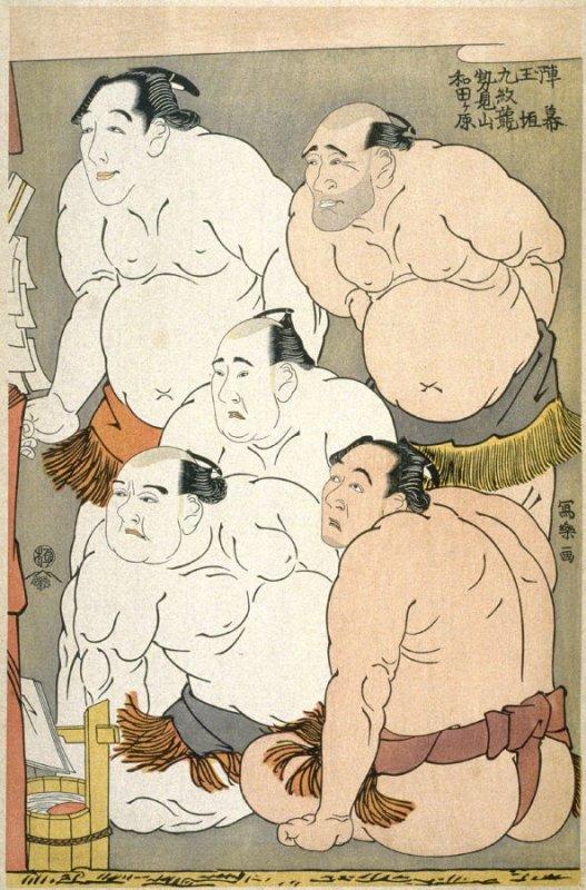 What are sumo wrestlers?