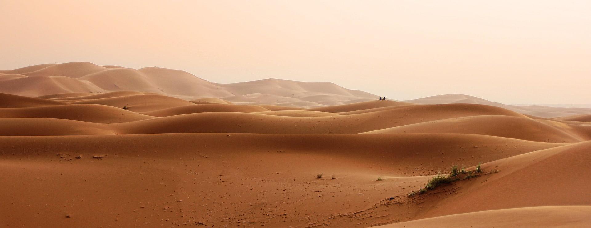 Can you get a bus in Marrakech?
