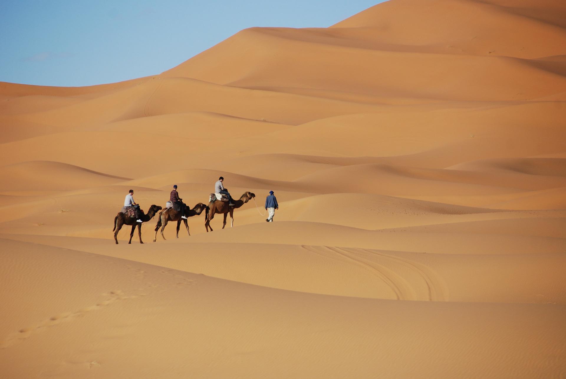 How much does transport cost in Marrakech?