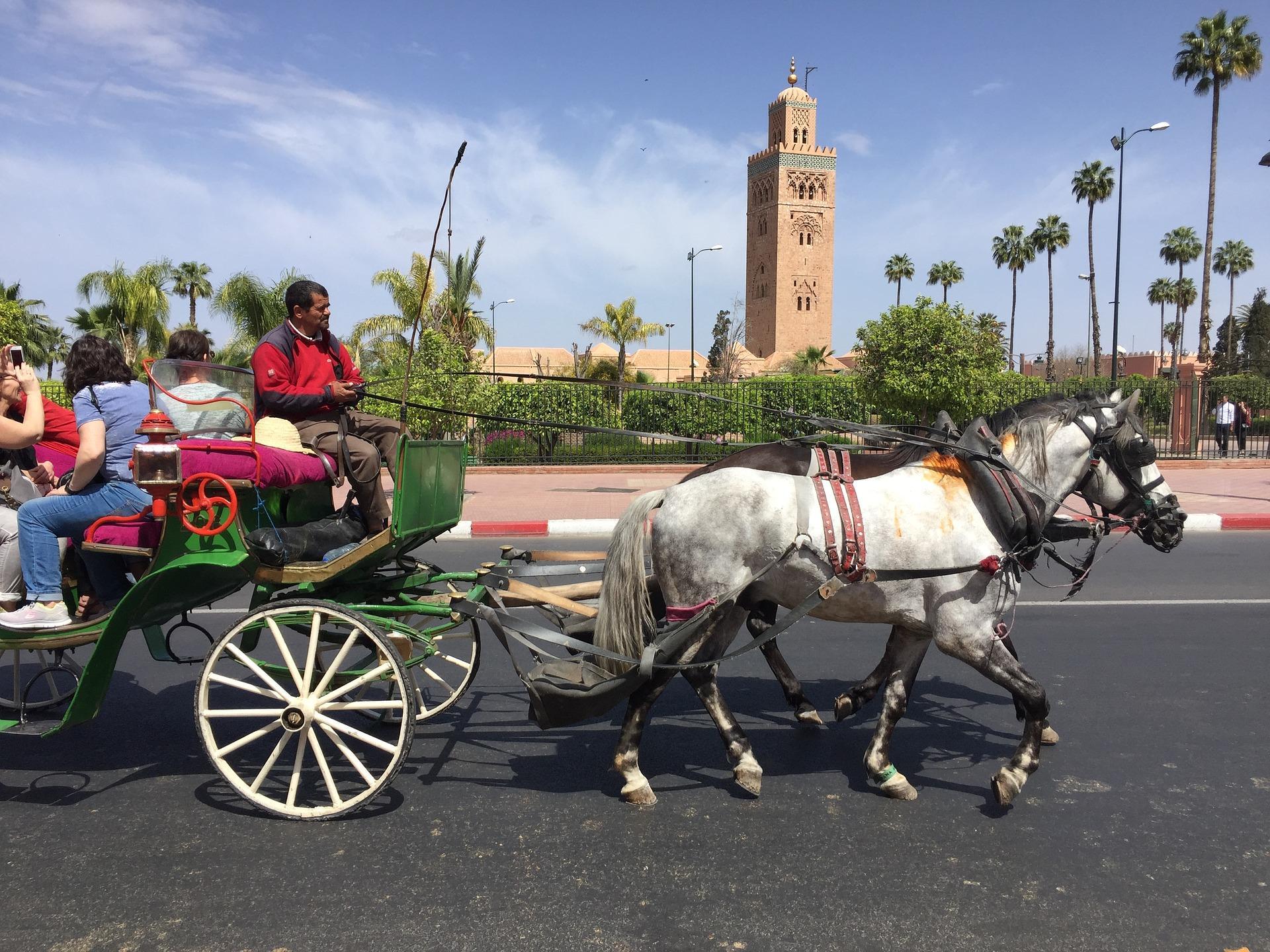 How can you get around Marrakech?