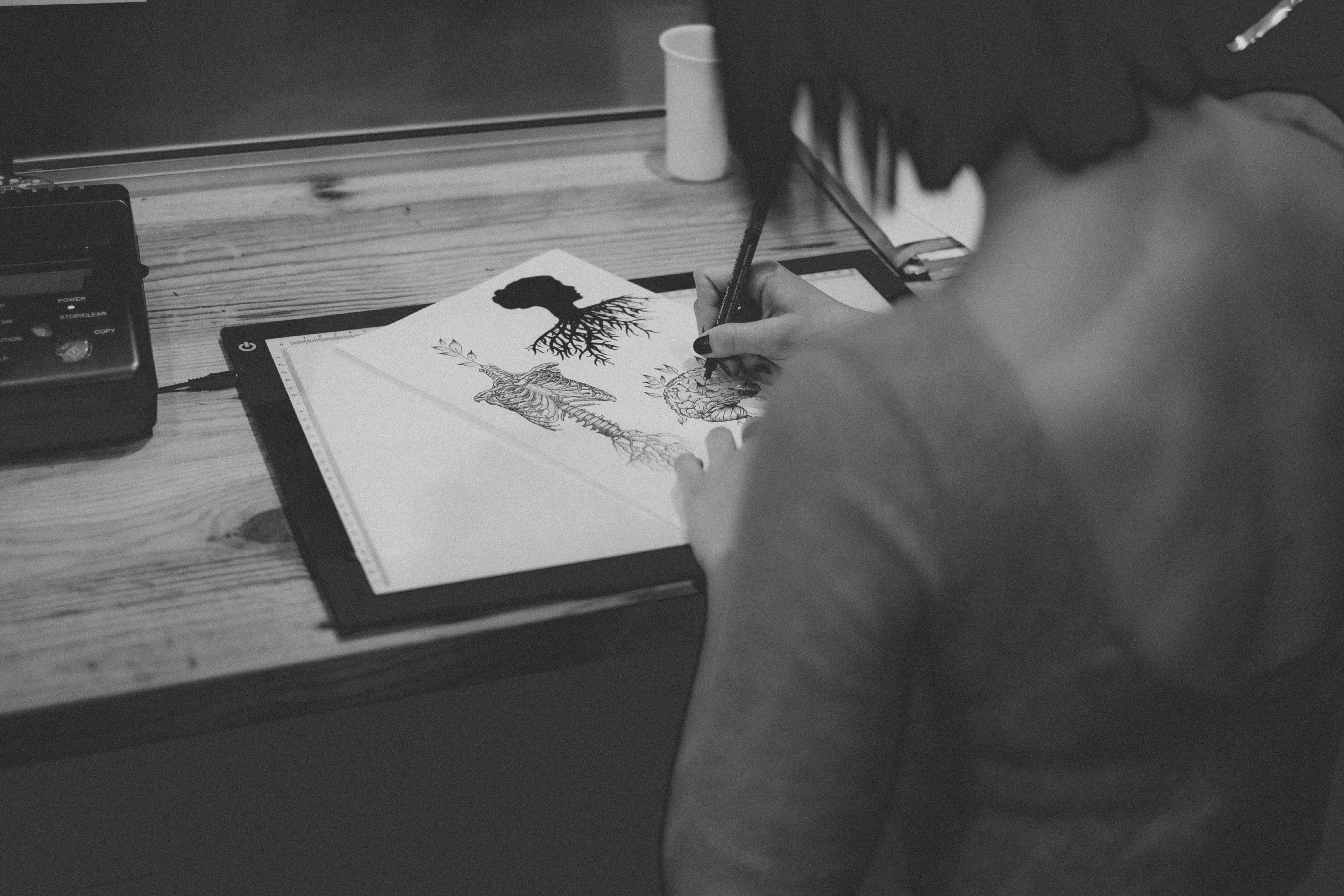 fashion illustrators