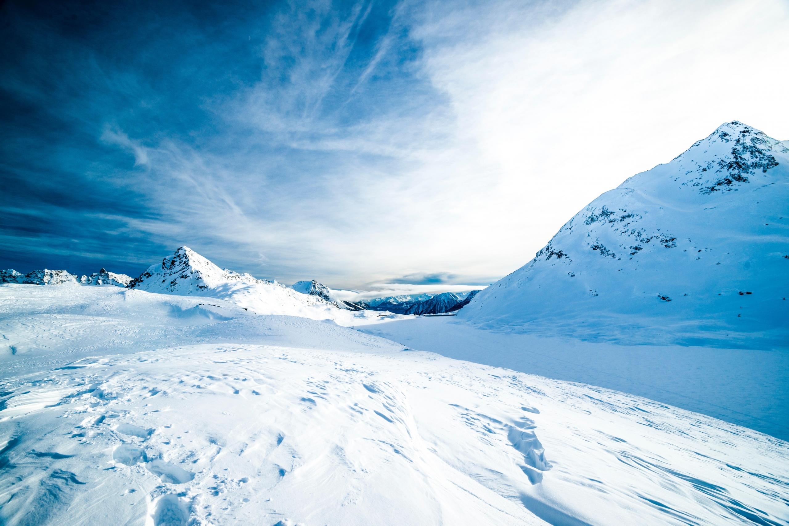 A frozen landscape