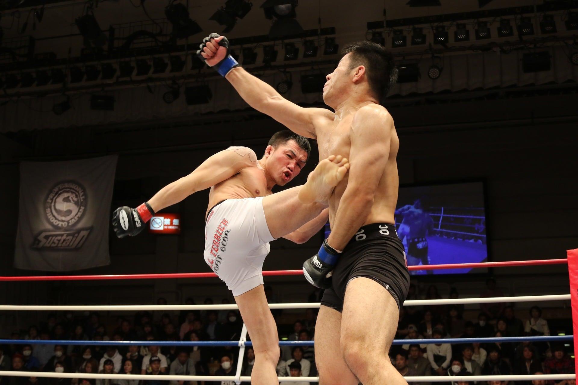 How can you network as a boxing coach?