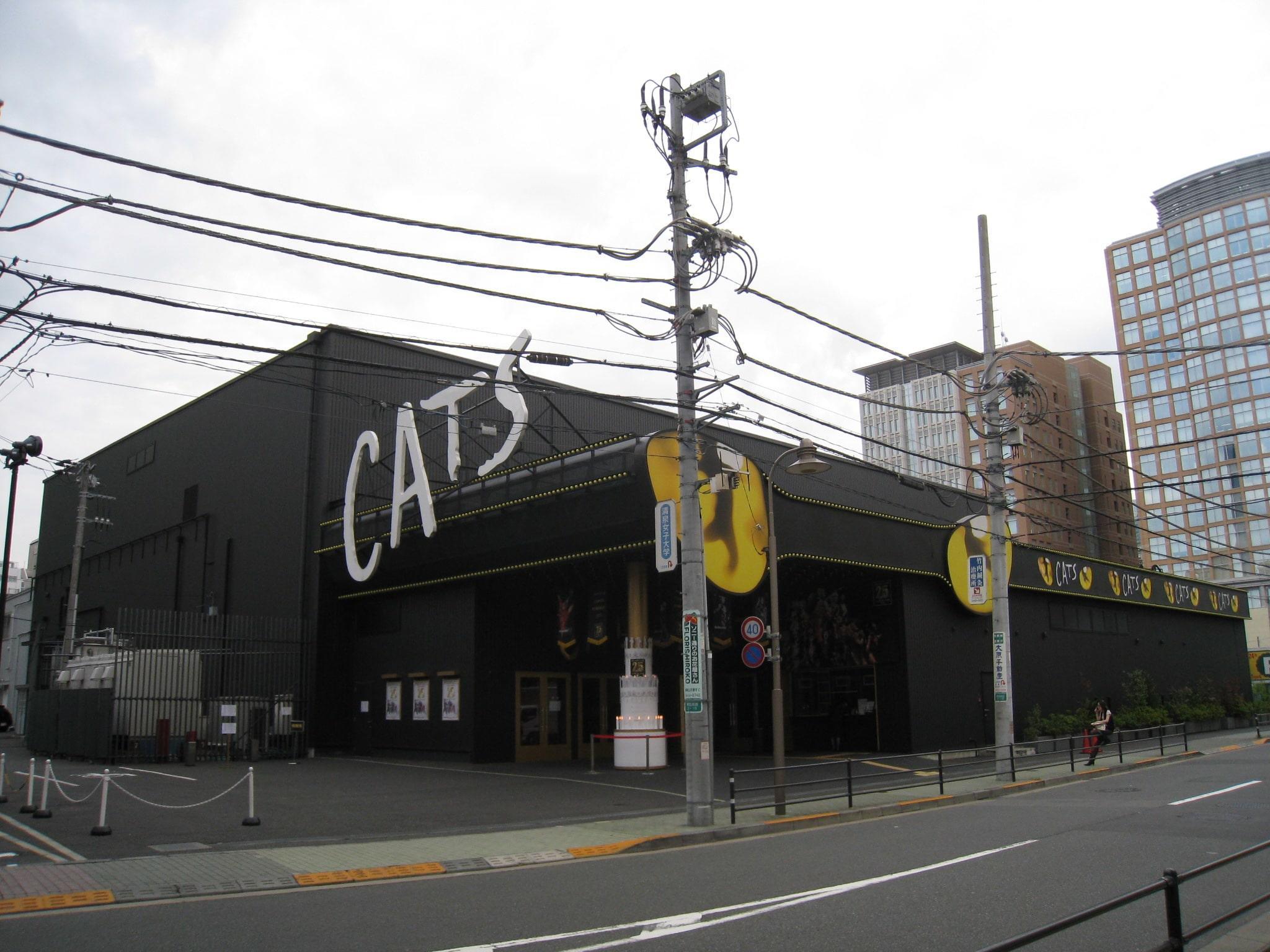 Cats is a larger than life presentation in Japan