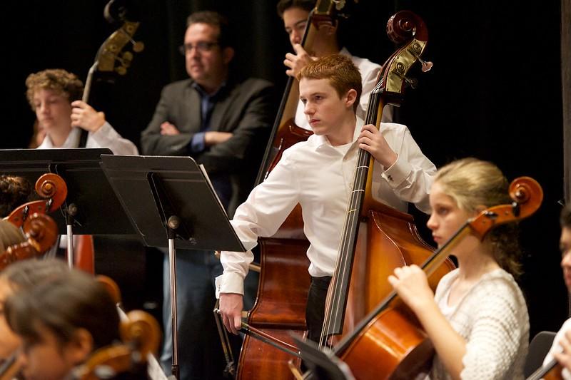 Do you fancy playing the double bass?