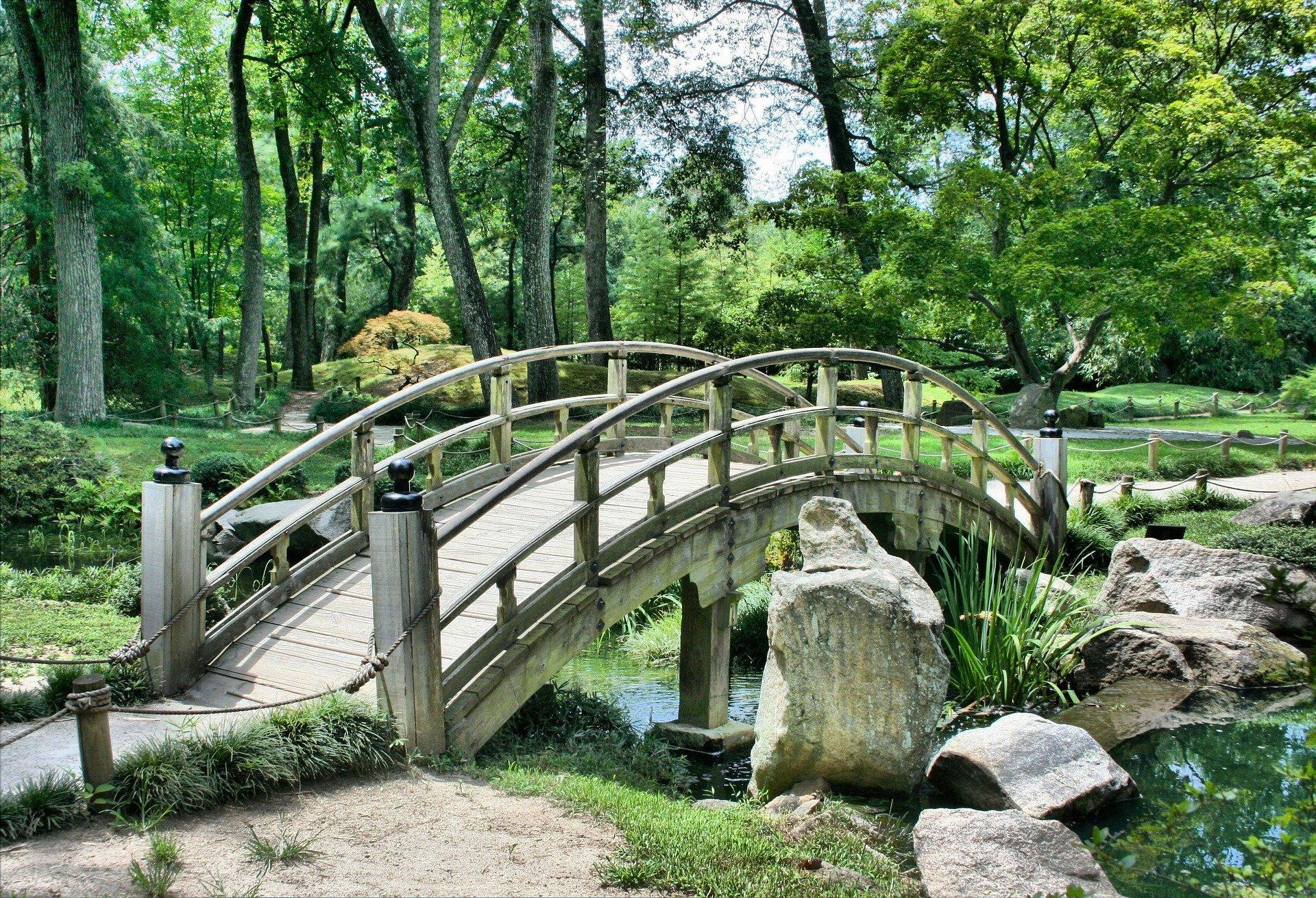How can you draw a garden?