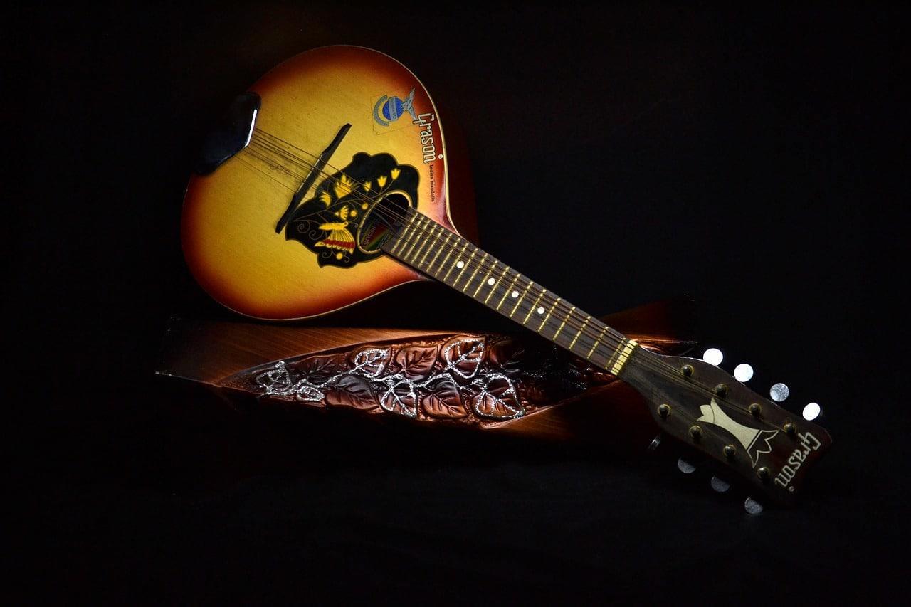 a mandolin