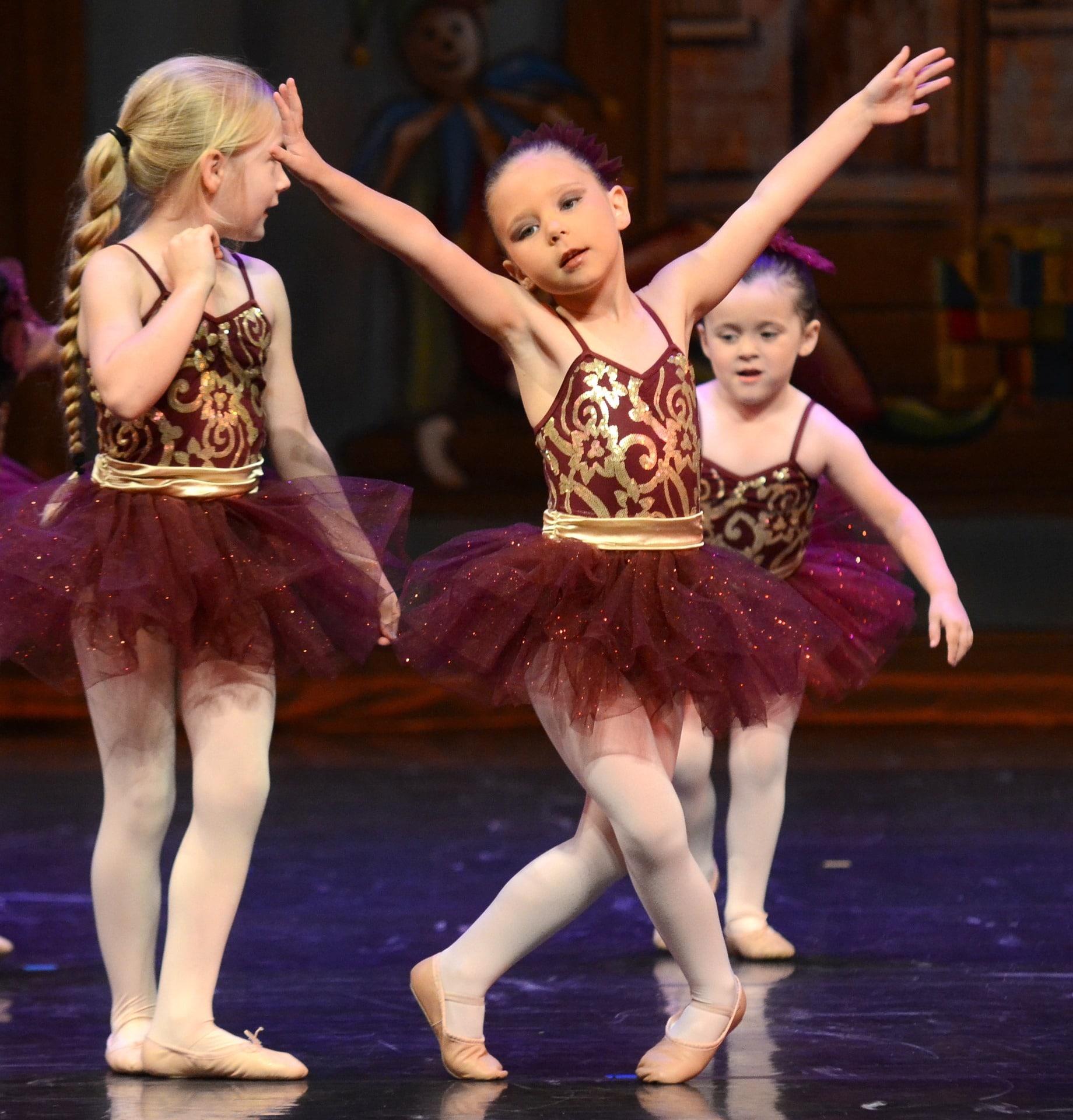 Where can you find introductory dance classes?