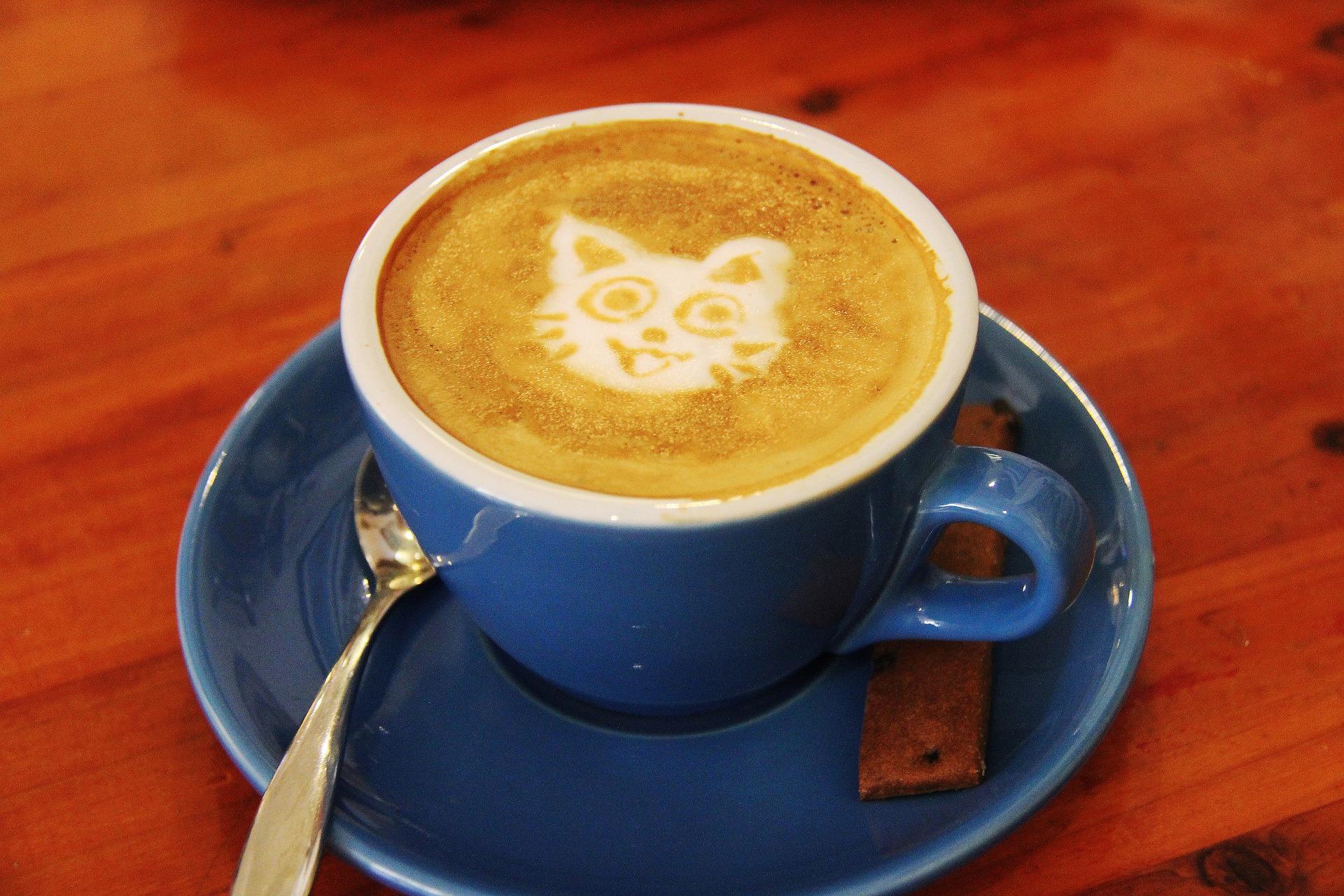 Which are the best restaurants and cafes in Tokyo?