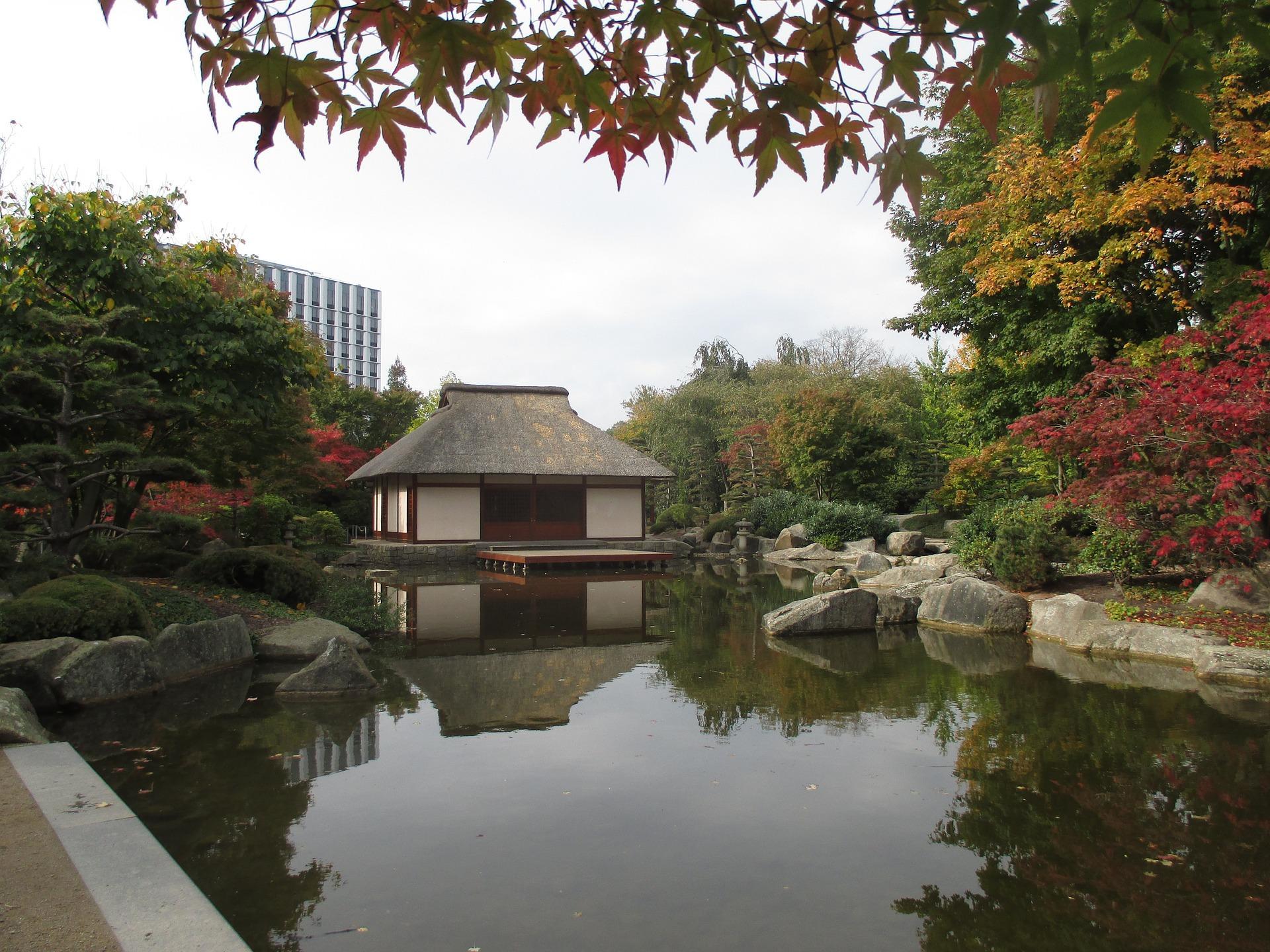 How should you behave in a tea ceremony?