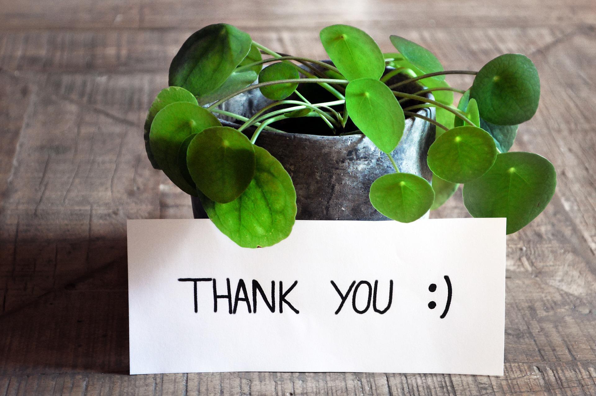 An interview thank you email is generally sufficient for phone interviews