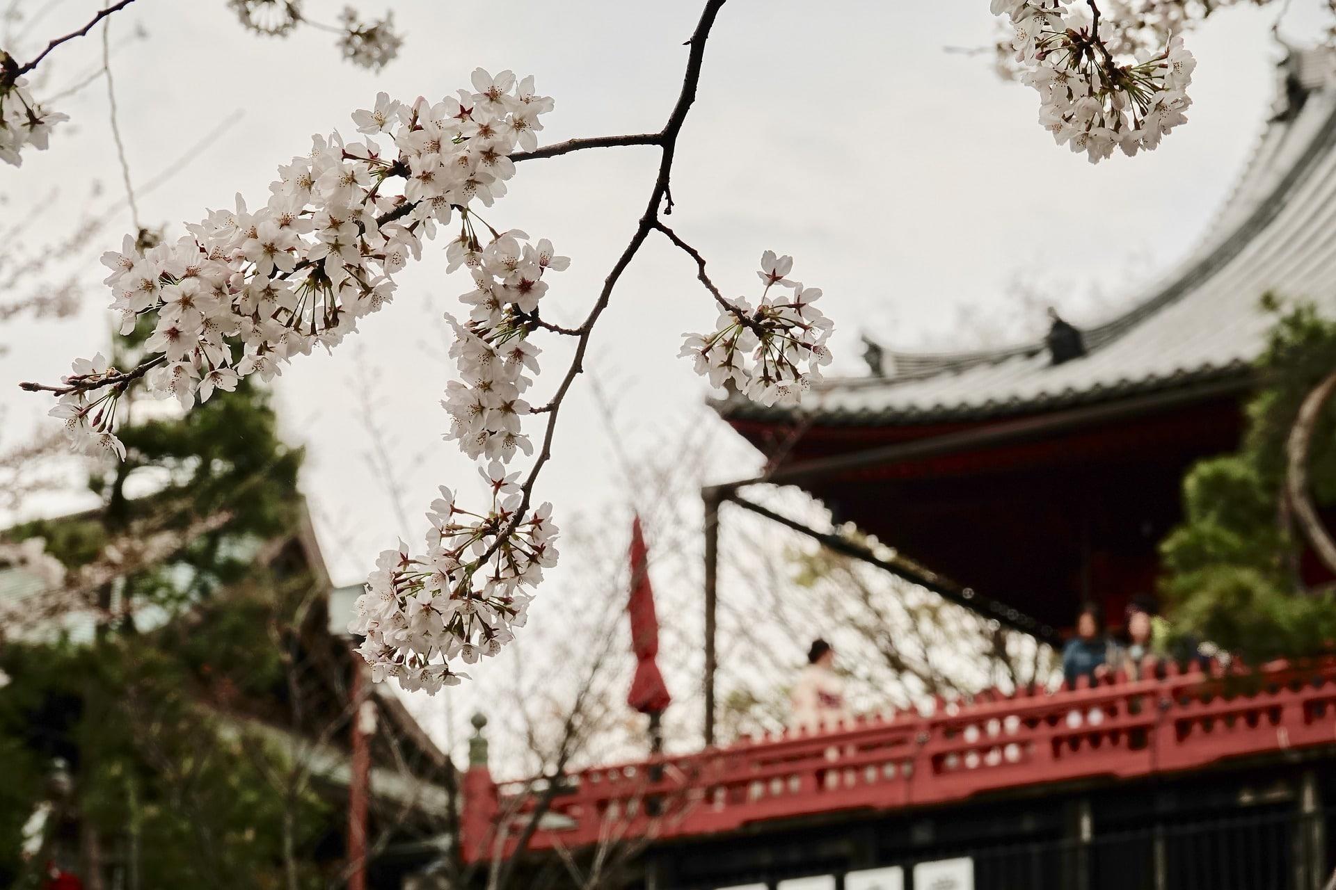 Where is Ueno Park?