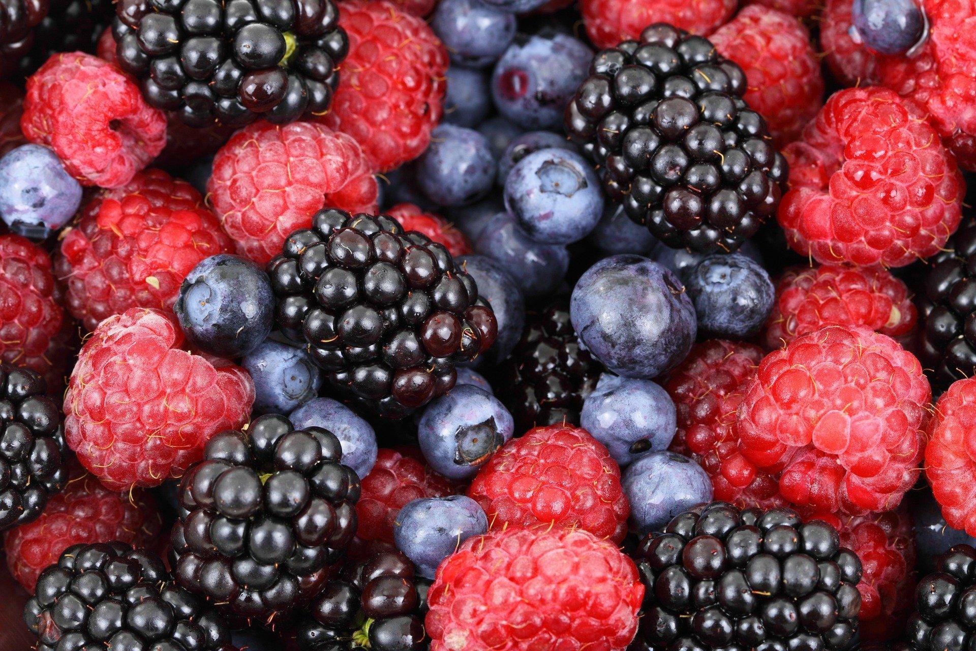 What is a food processor?