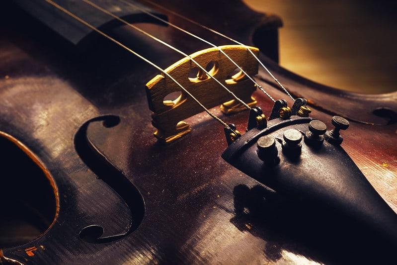 The viola is like the middle voice of an orchestra.