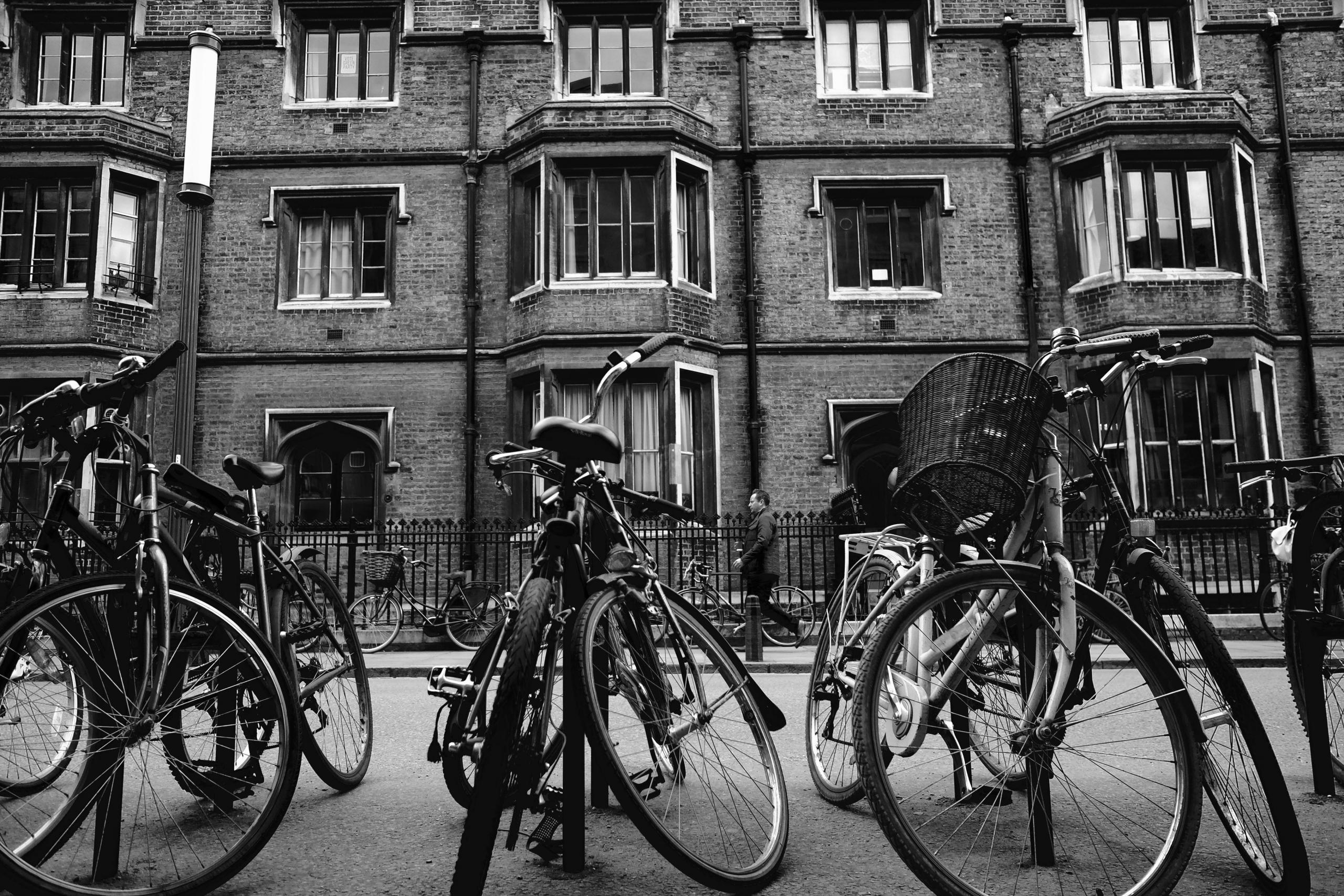 university application advice