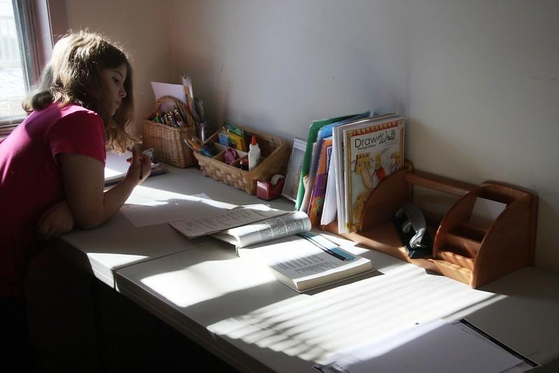 A female student in a pink shirt sits at a desk laden with learning materials and school supplies, which are highlighted by the stream of sunshine coming through the window on her left.