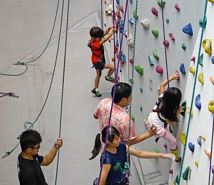 Your little ones might enjoy the challenge of climbing while building confidence