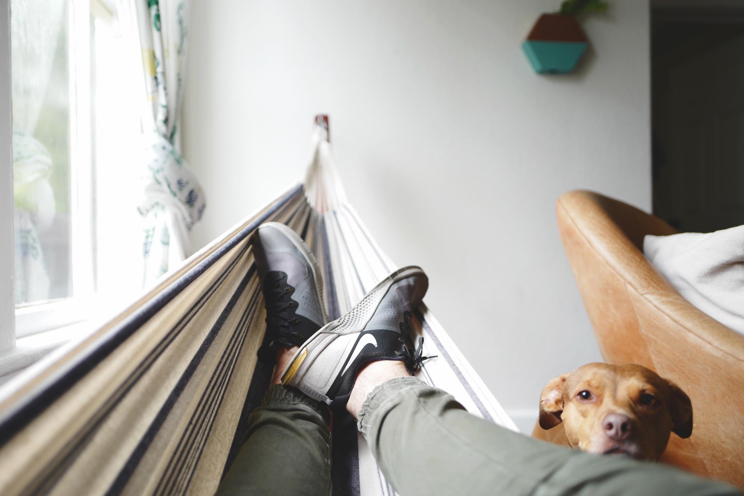 Resting in a hammock