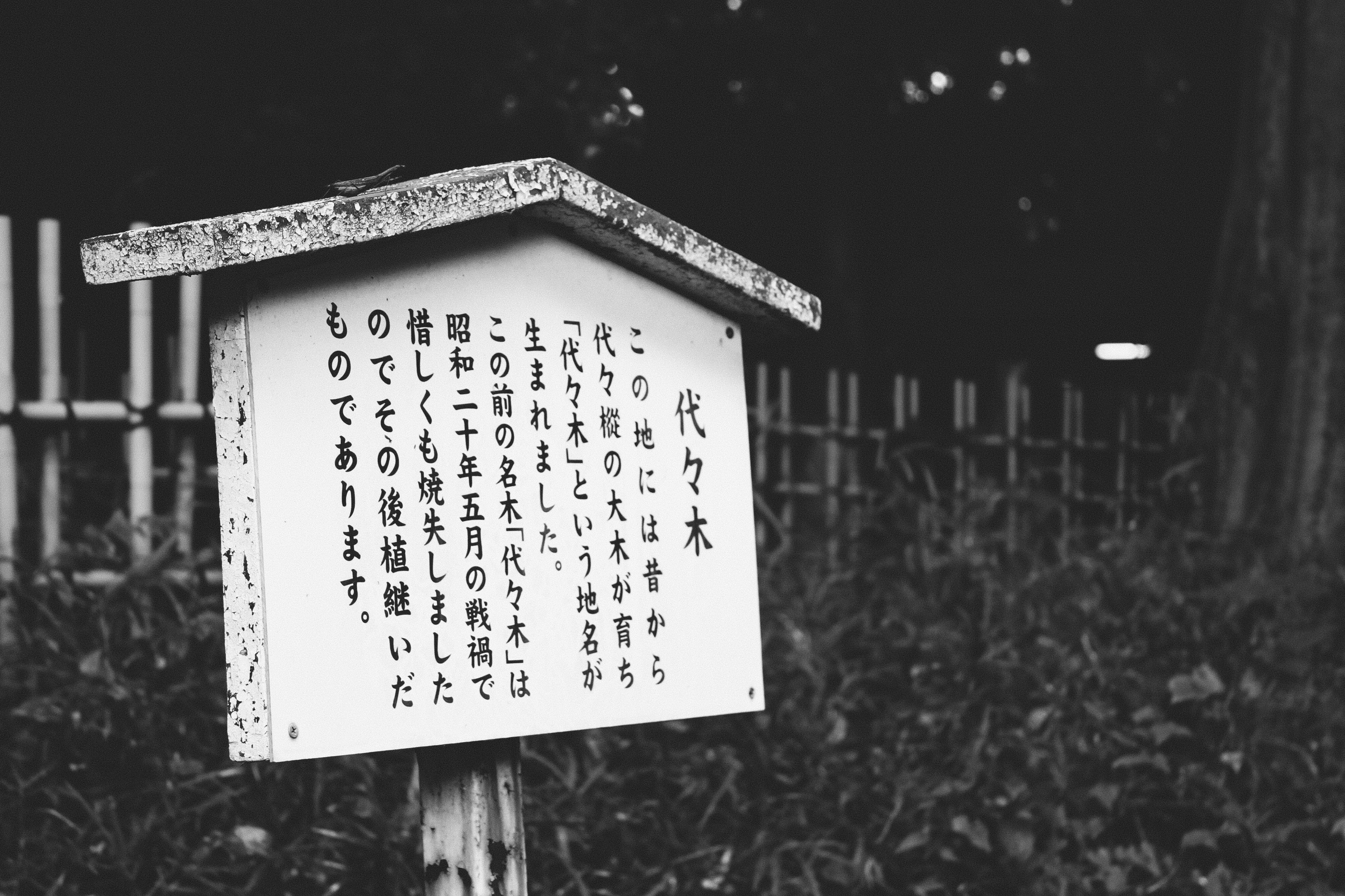 the beauty of Japan